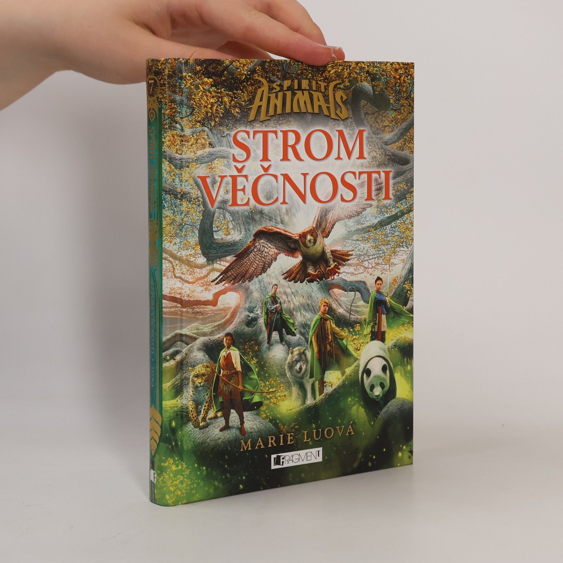 Marie Lu Strom věčnosti
