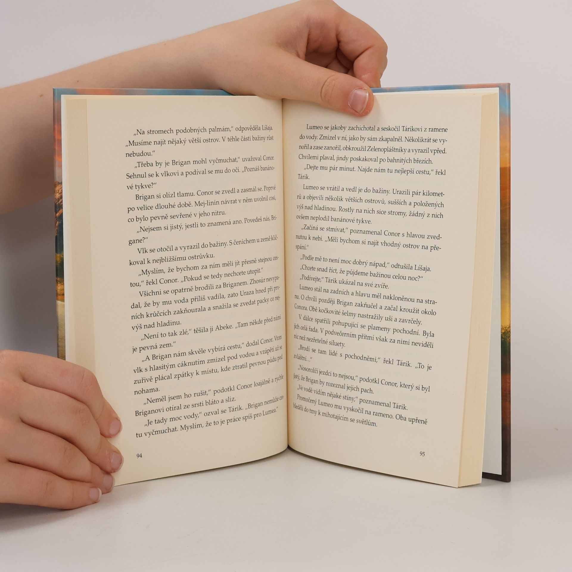 Garth Nix Pokrevní pouto