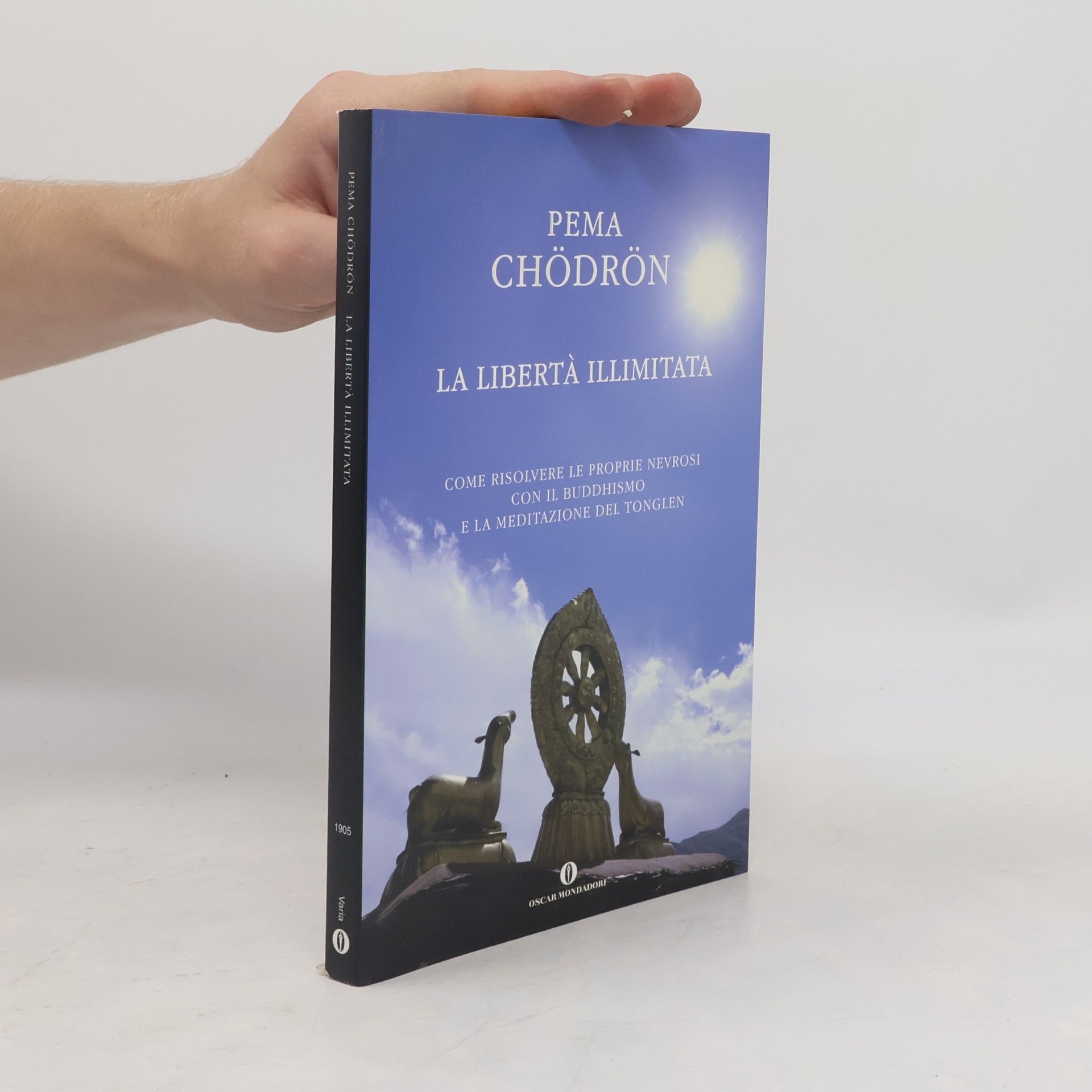 La libertà illimitata. Come risolvere le proprie nevrosi con il Buddhismo e la meditazione del Tonglen