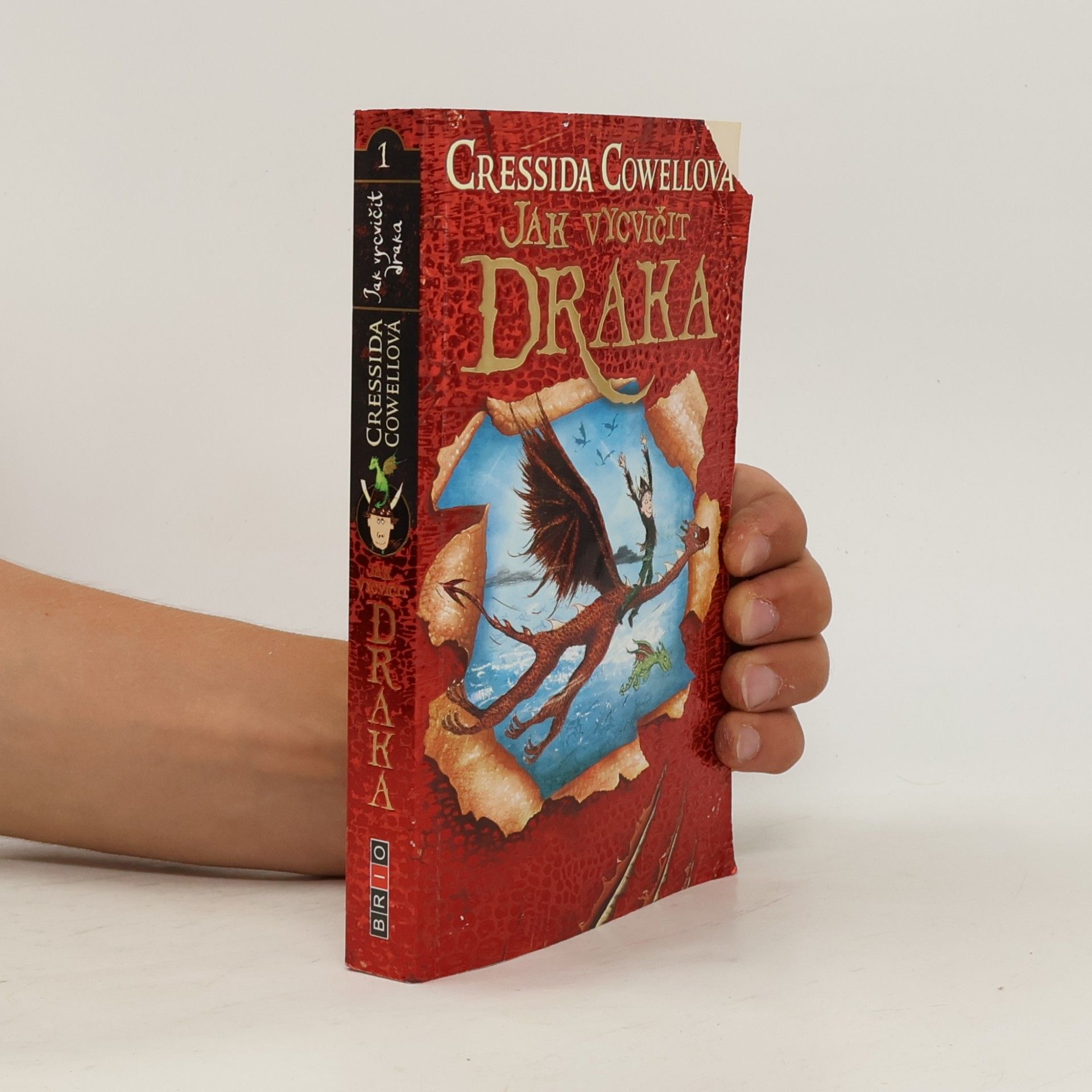 Cressida Cowell Jak vycvičit draka