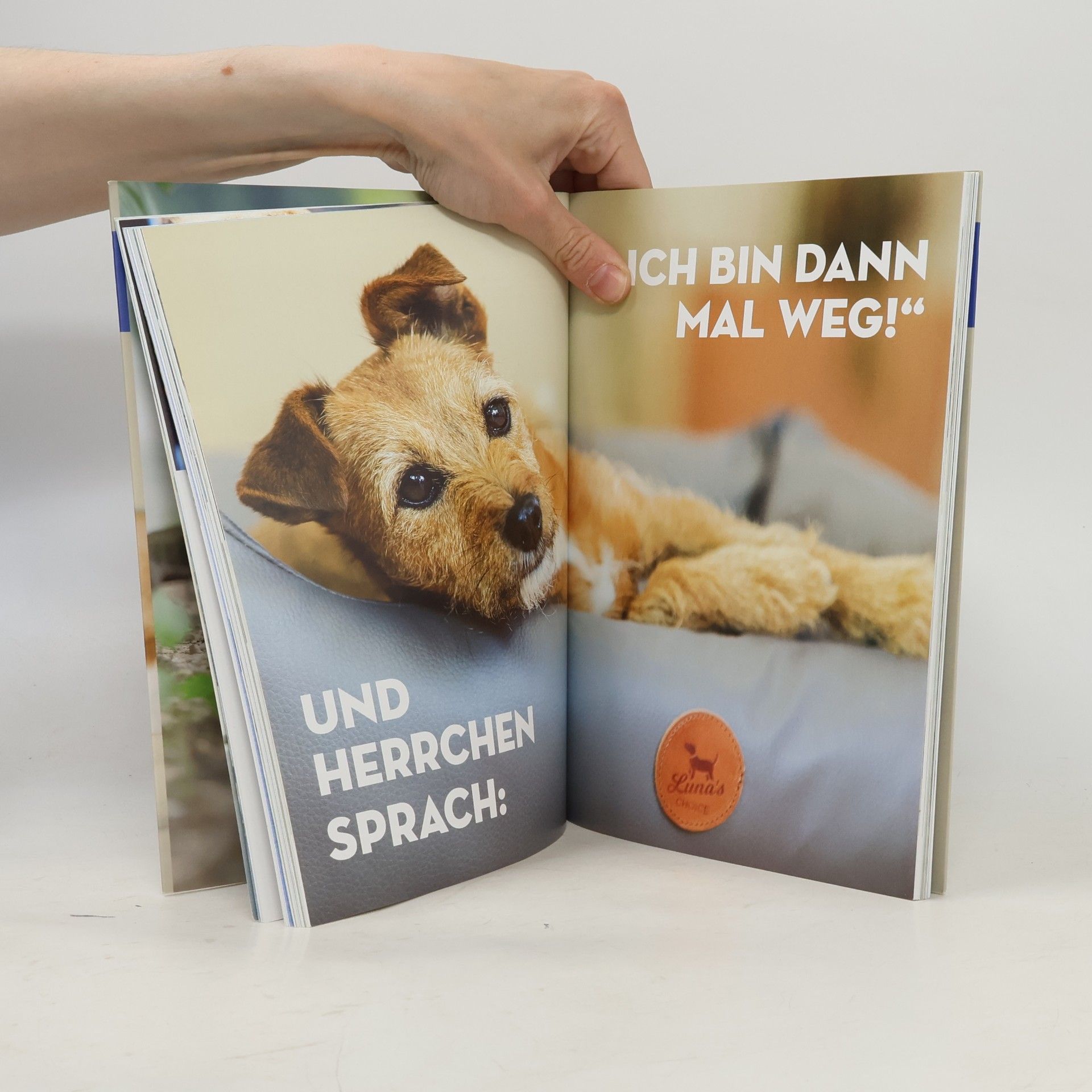 Kristina Falke-Ziemer Entspannt allein