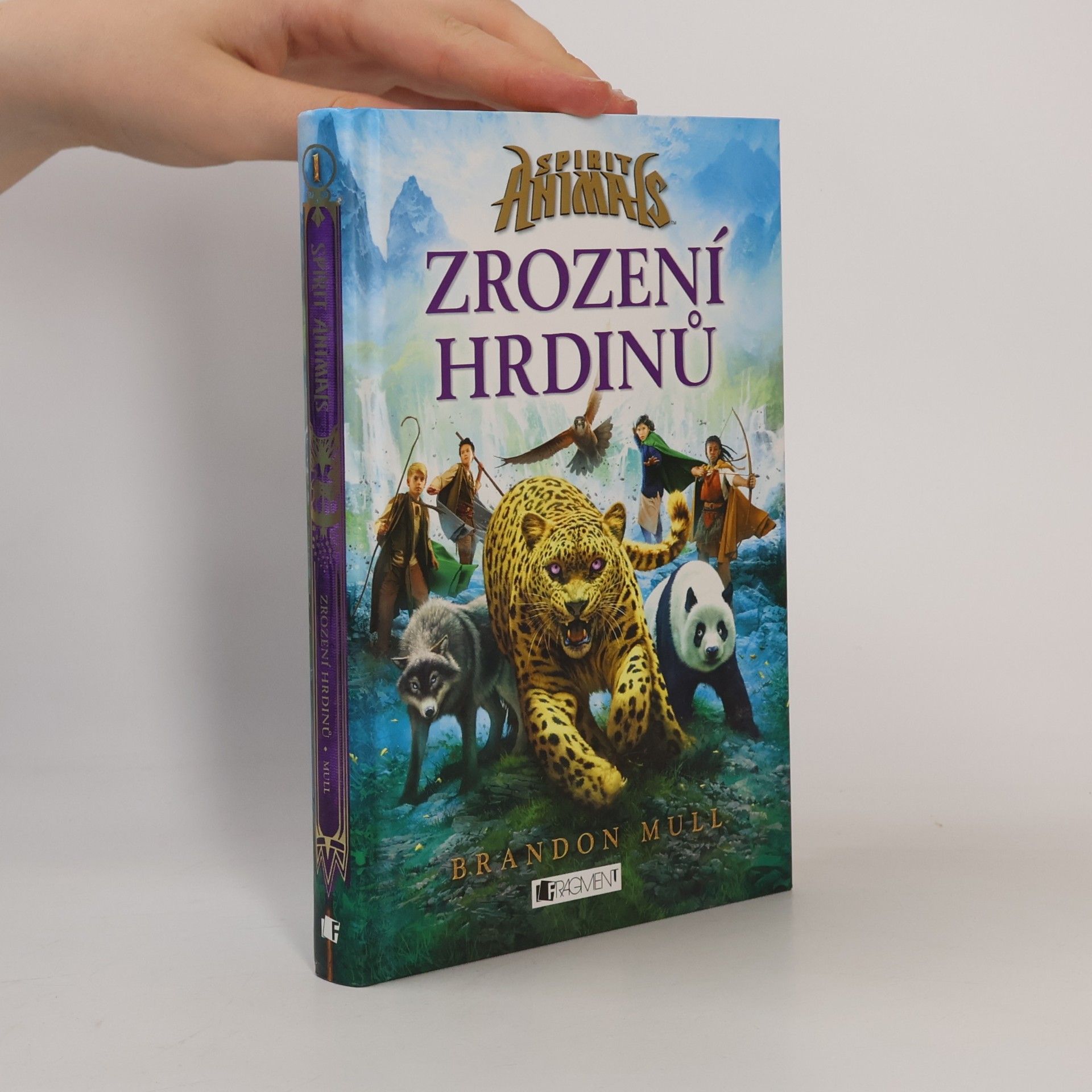 Brandon Mull Zrození hrdinů