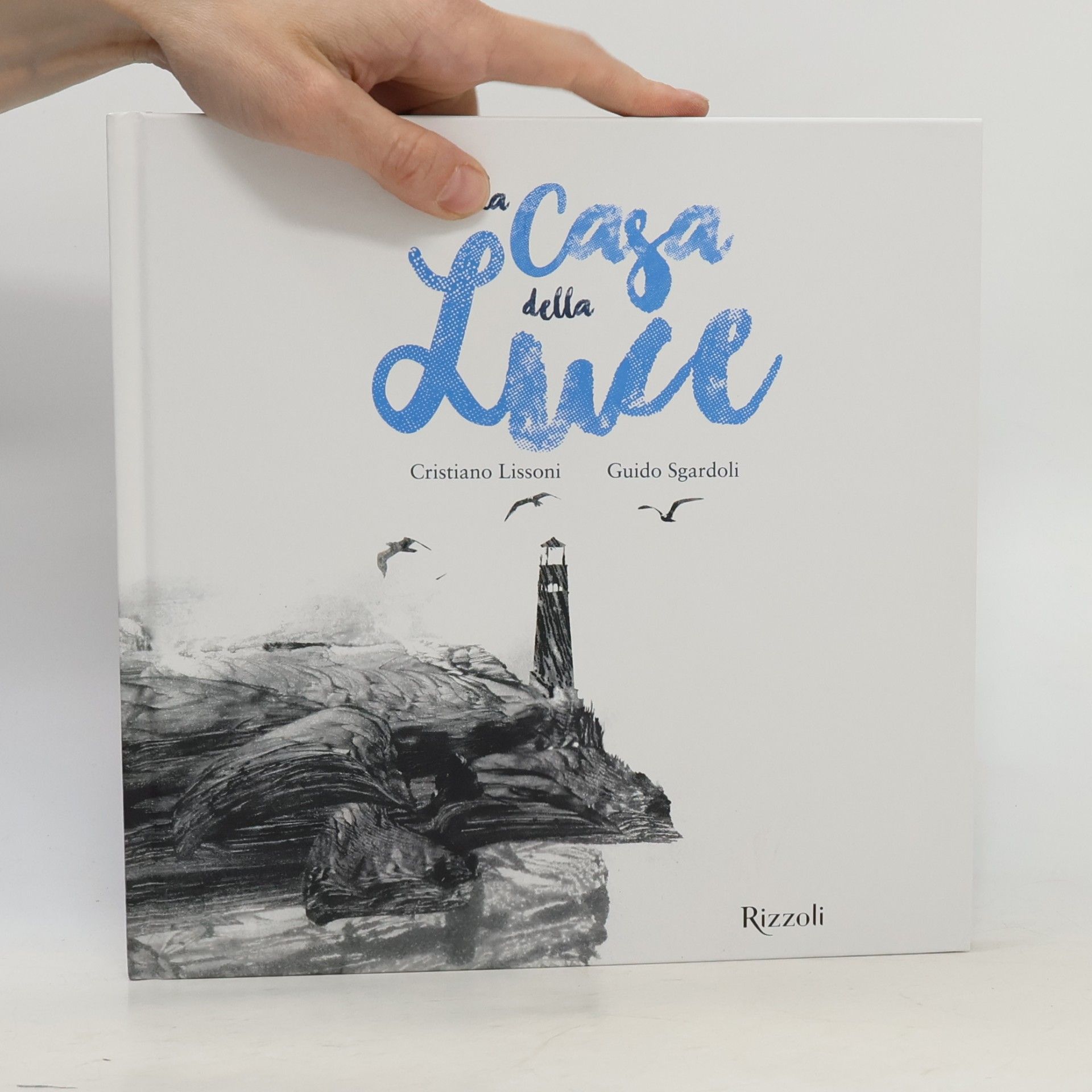 Albi illustrati: La casa della luce. Ediz. illustrata
