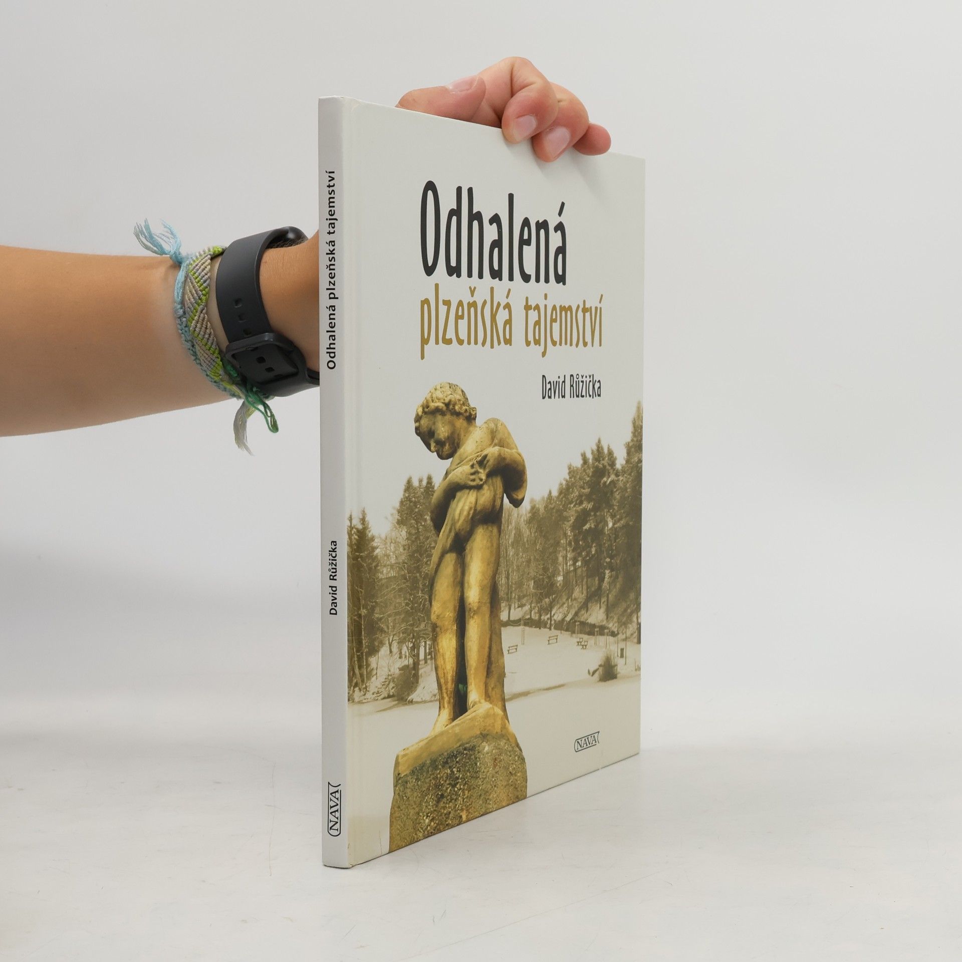 David Růžička Odhalená plzeňská tajemství