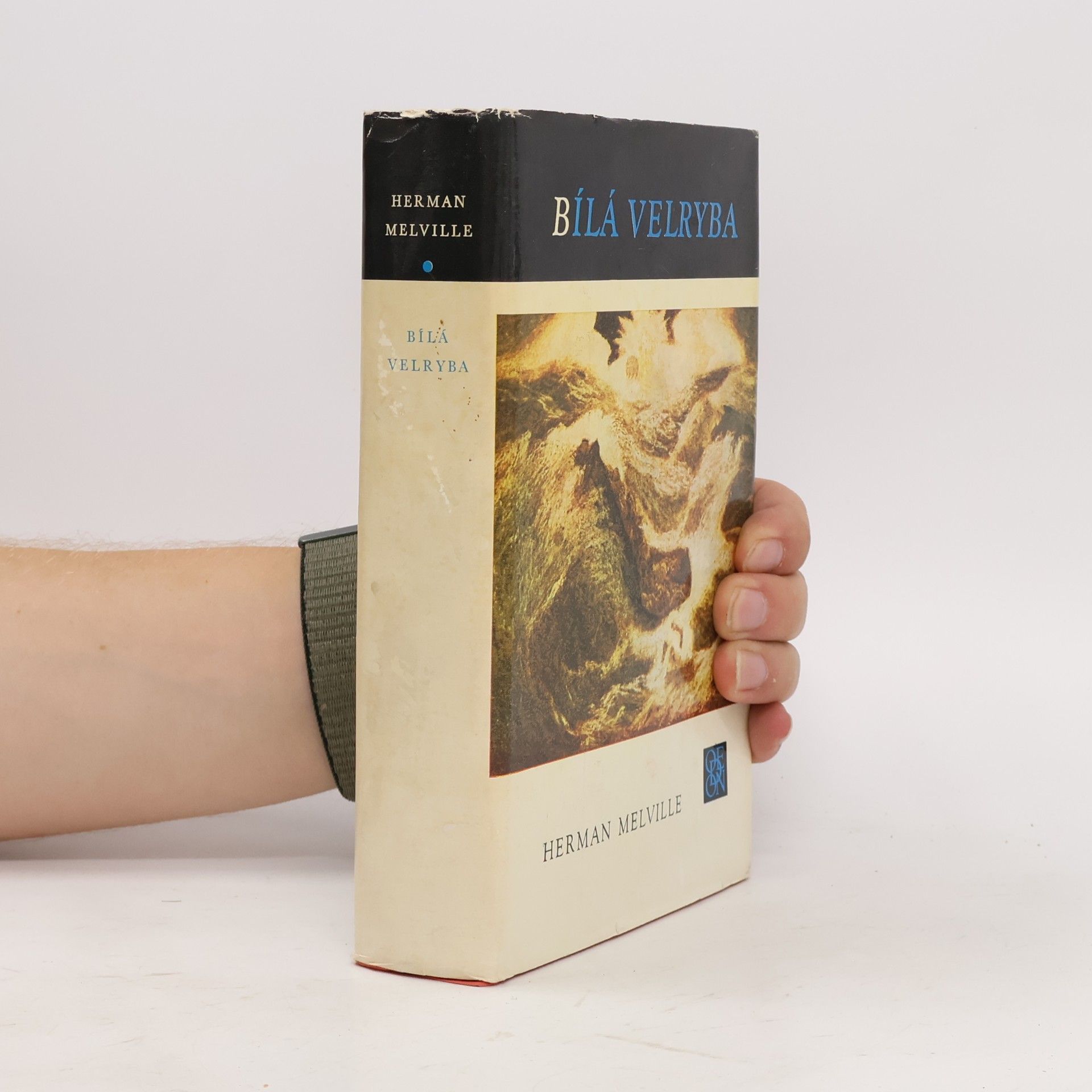 Herman Melville Bílá velryba