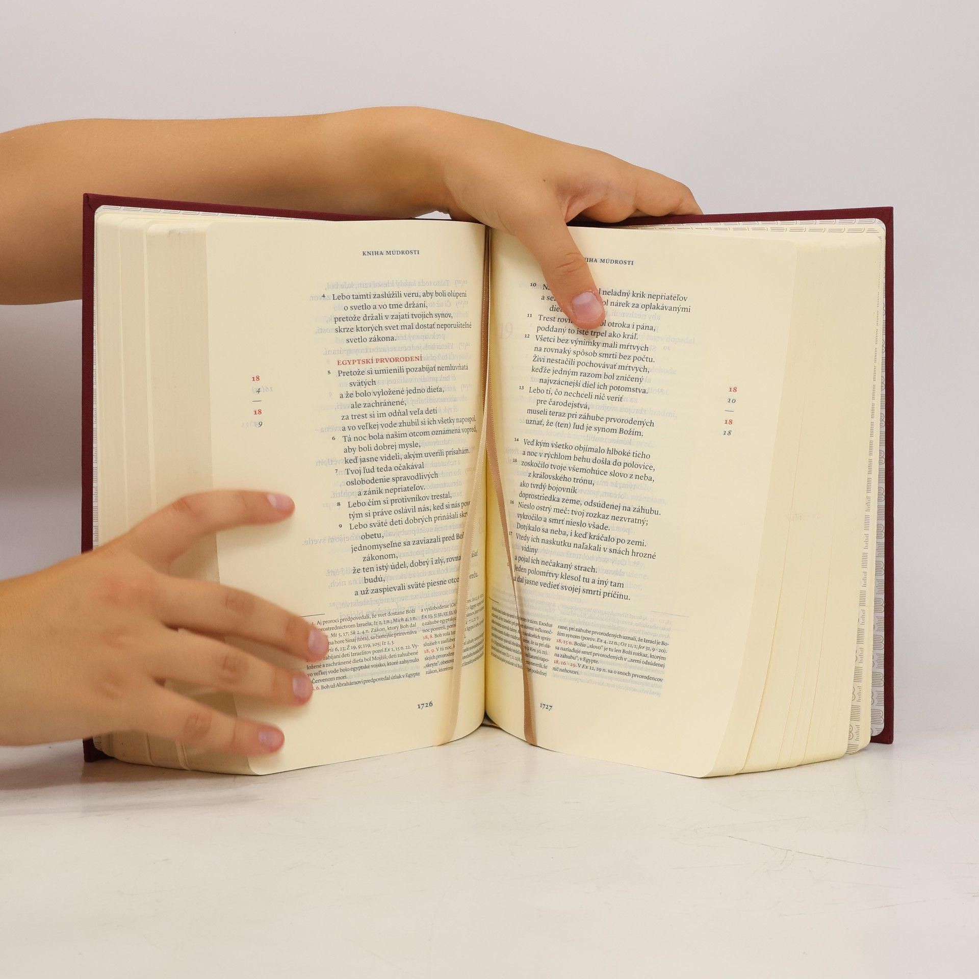 Autorenkollektiv Biblia. Starý a nový zákon