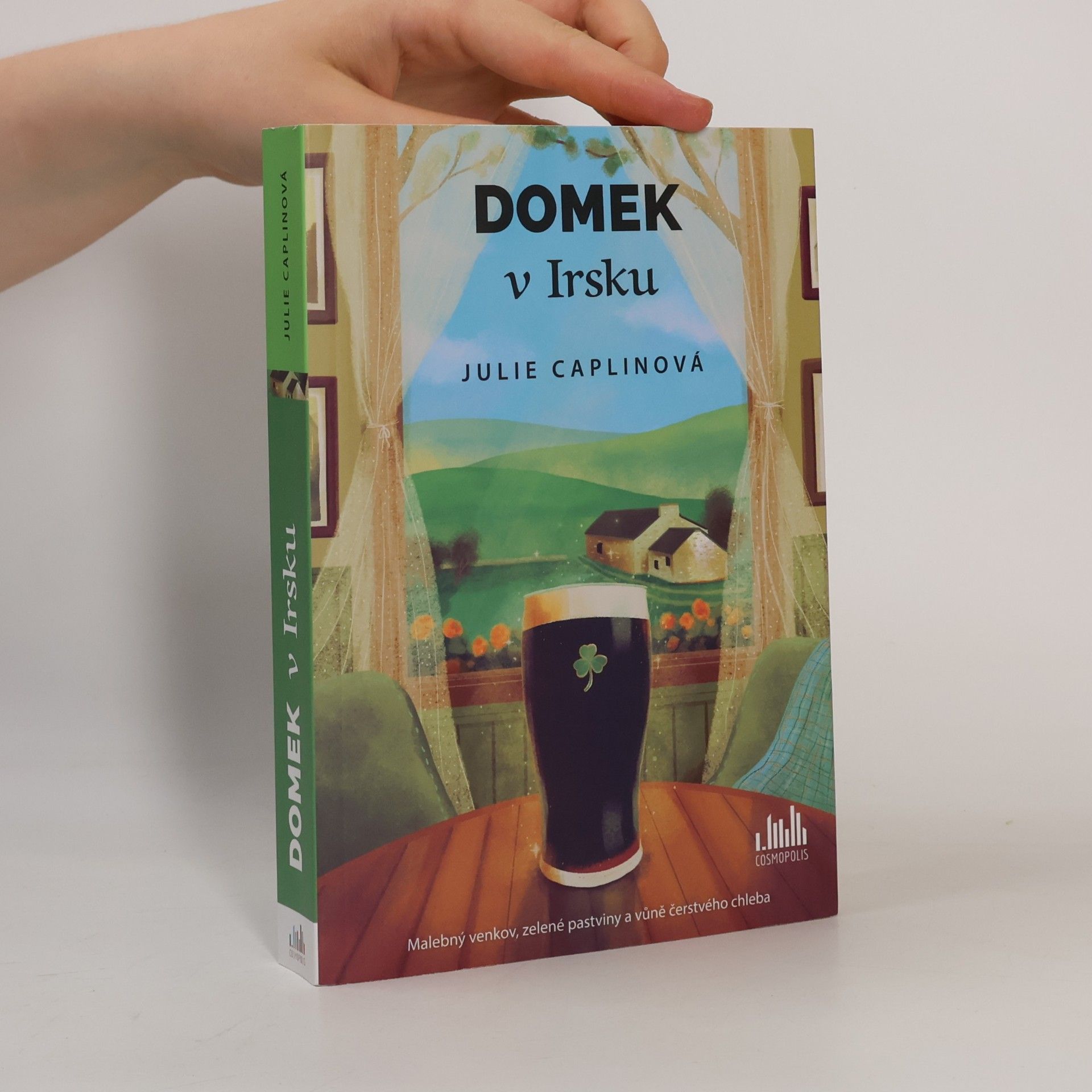 Julie Caplin Domek v Irsku