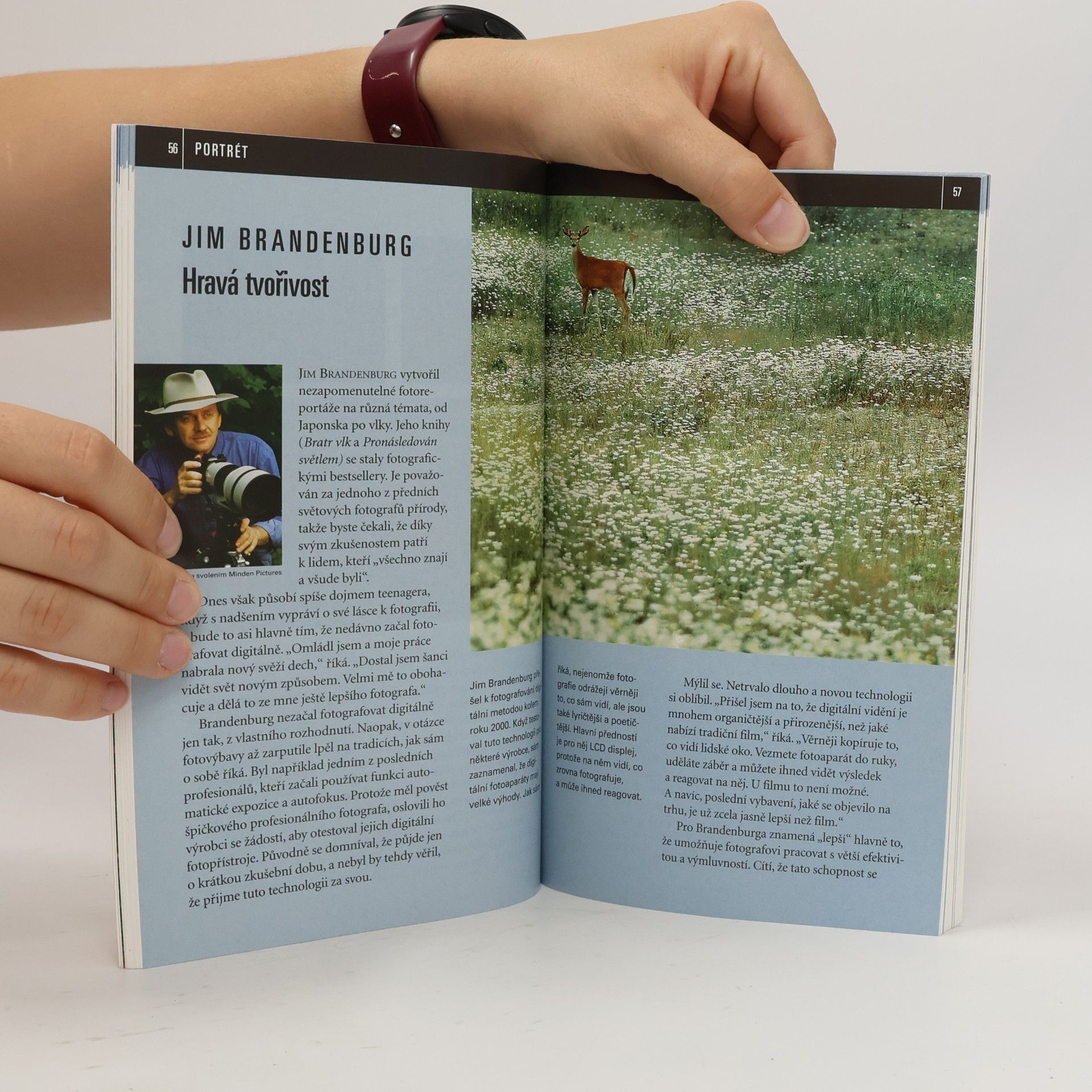 Robert Sheppard Škola fotografování