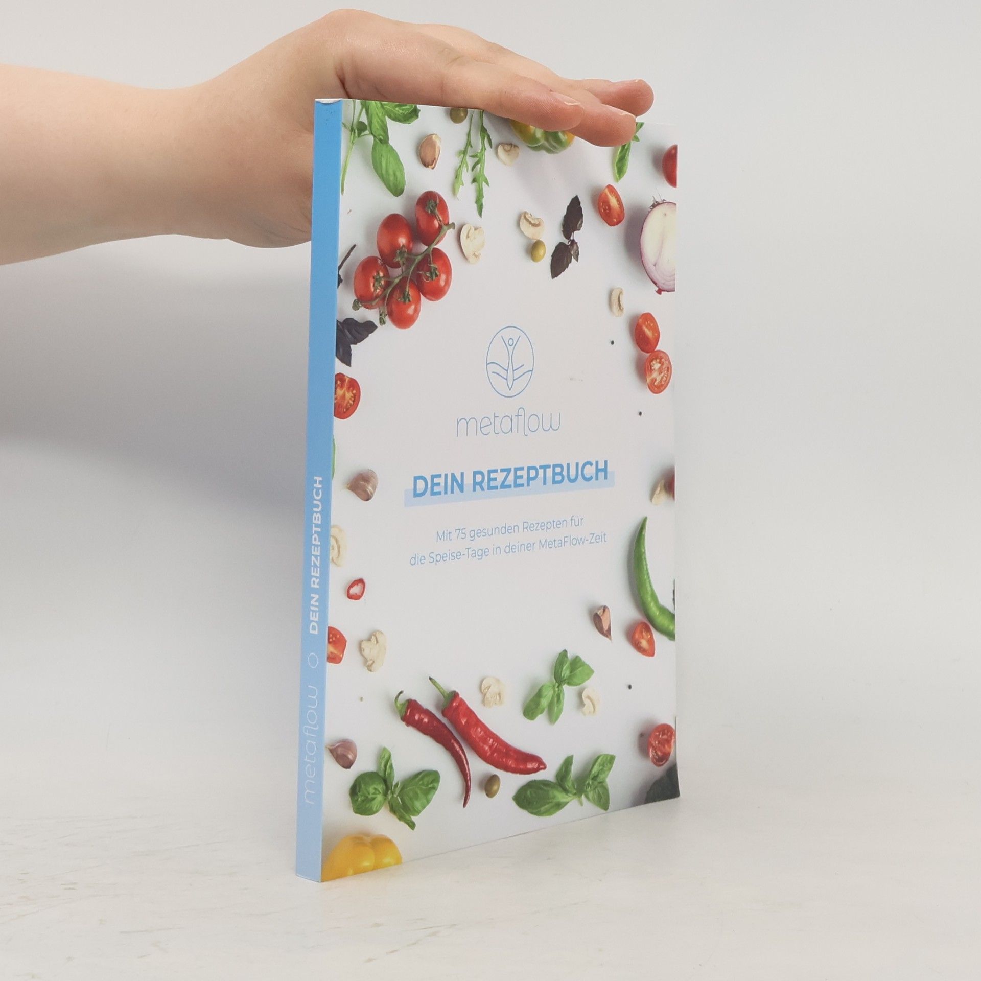 Kolektiv autorů MetaFlow. Dein Rezeptbuch
