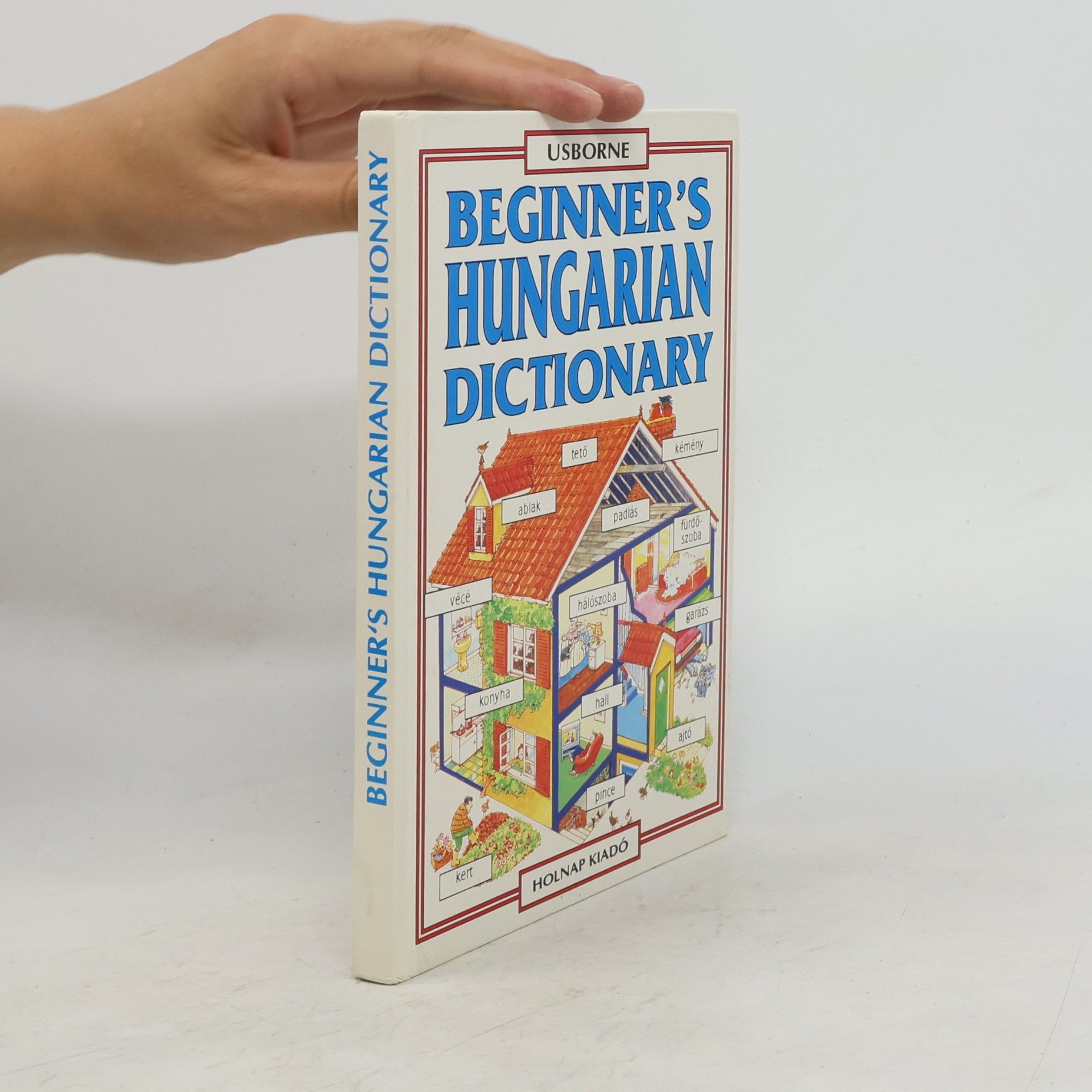 Beginner's Hungarian Dictionary