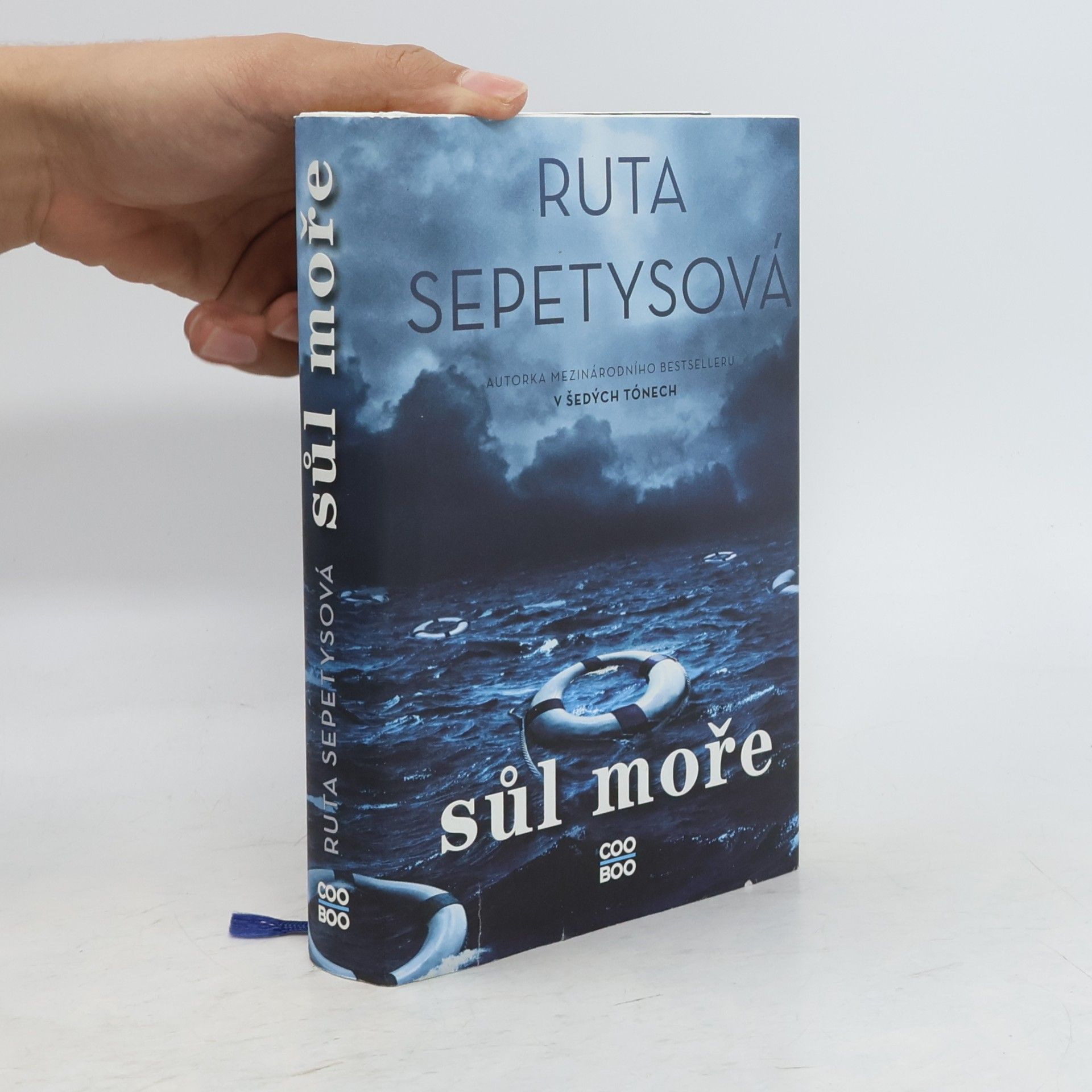 Ruta Sepetys Sůl moře