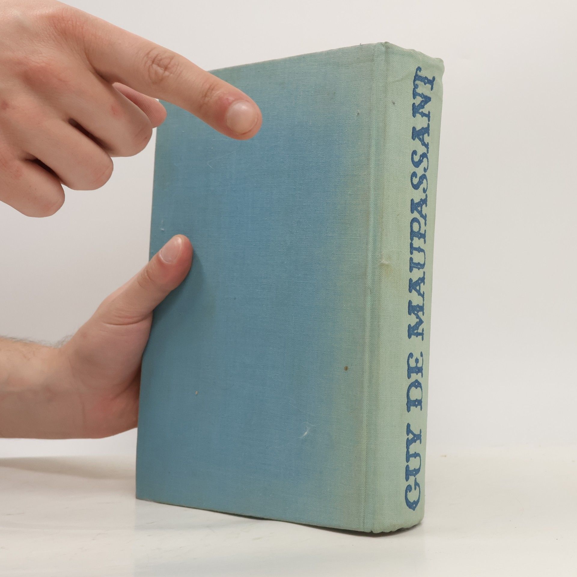 Guy de Maupassant Neděle pařížského měšťáka