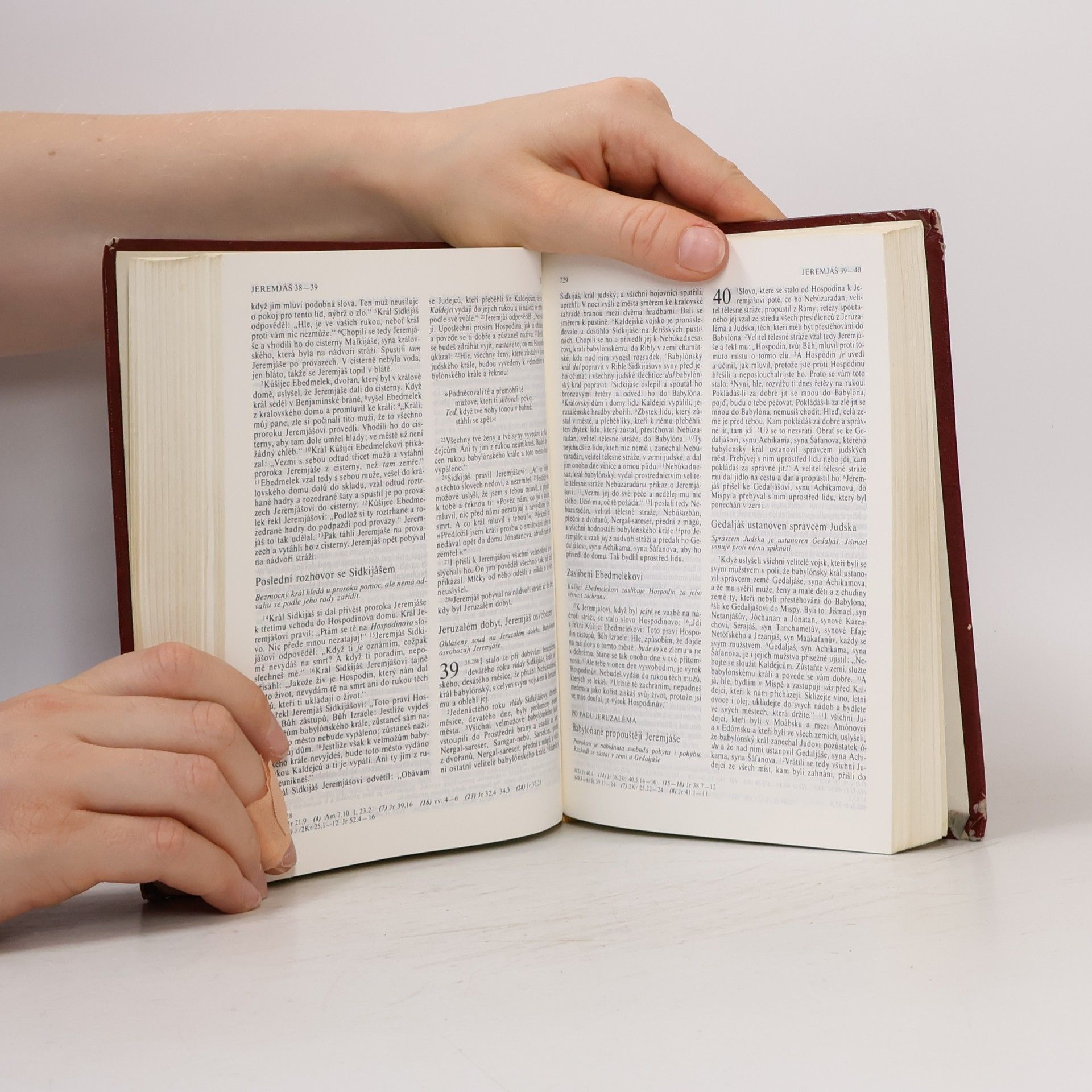 Kolektiv autorů Bible. Písmo svaté Starého i Nového zákona. Ekumenický překlad