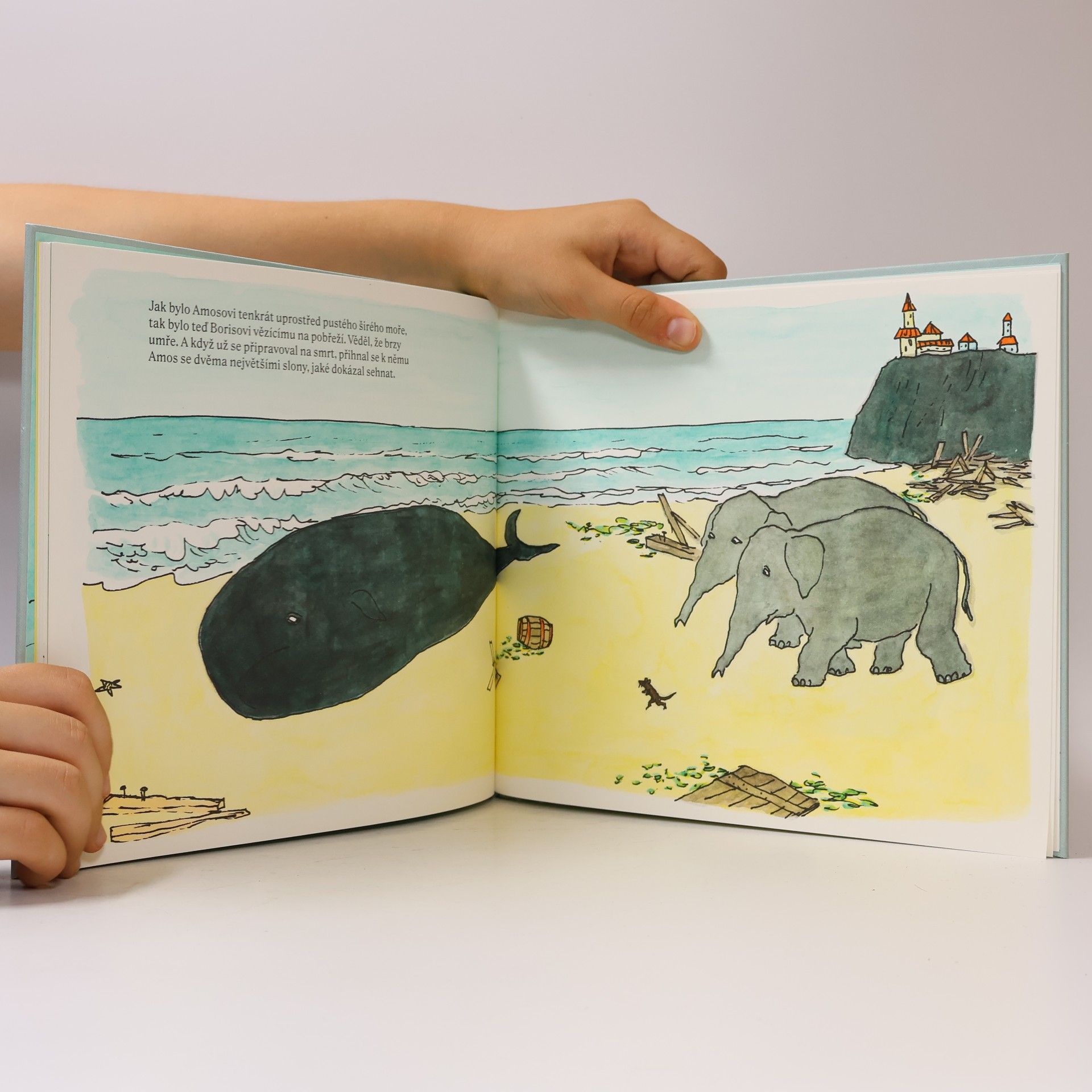 William Steig Amos & Boris