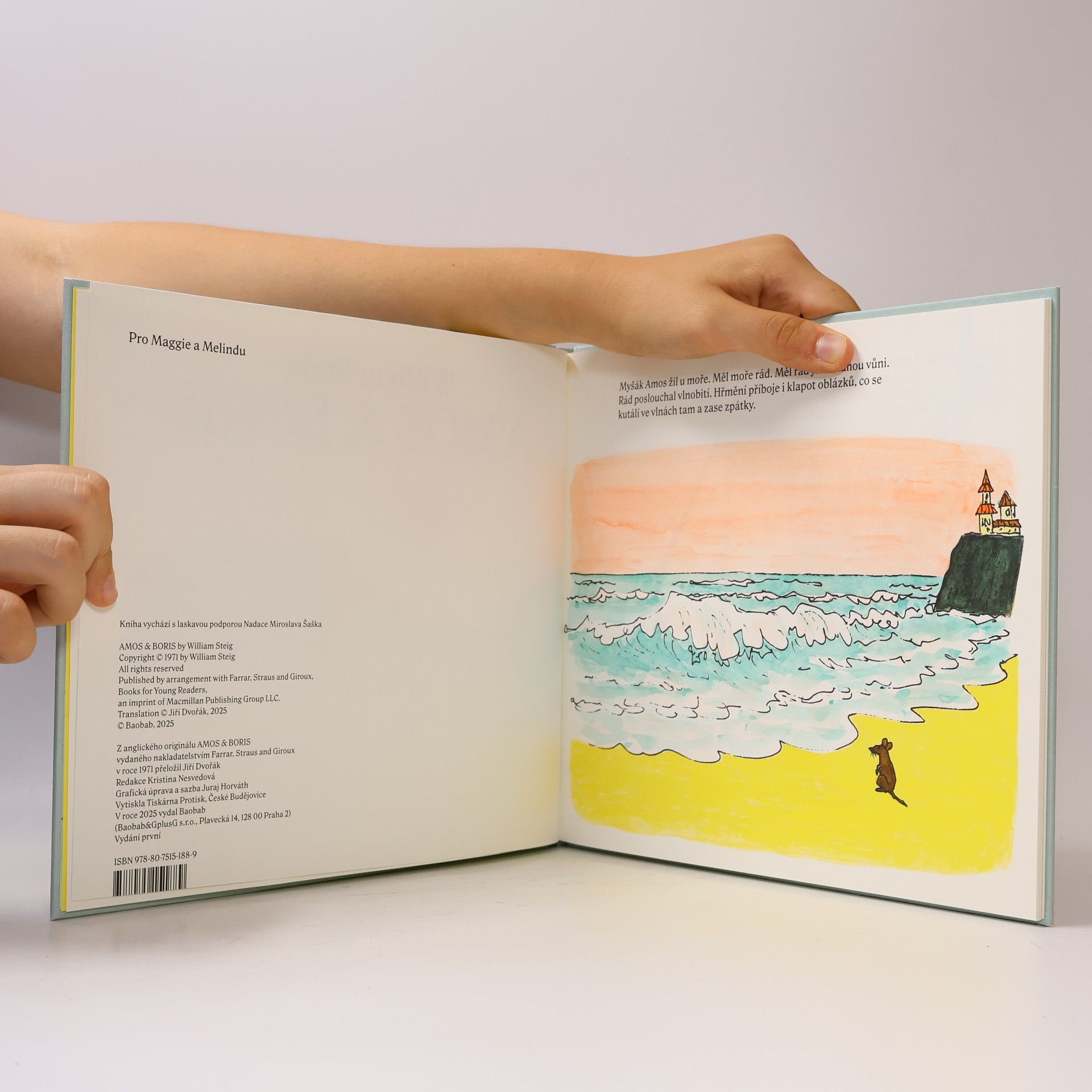 William Steig Amos & Boris