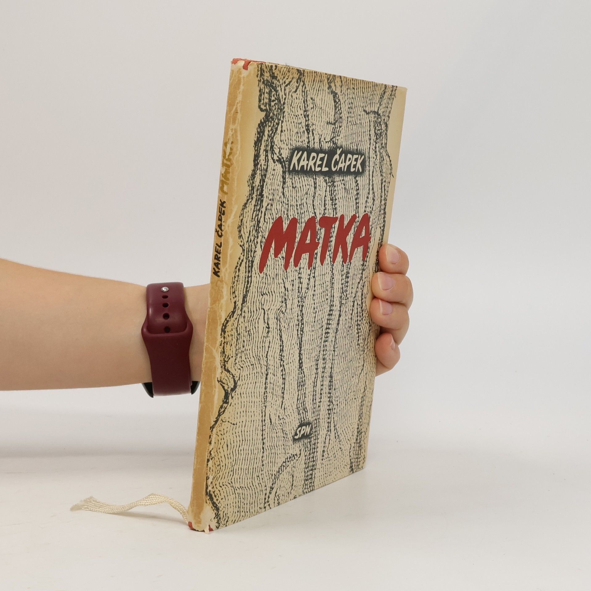 Karel Čapek Matka