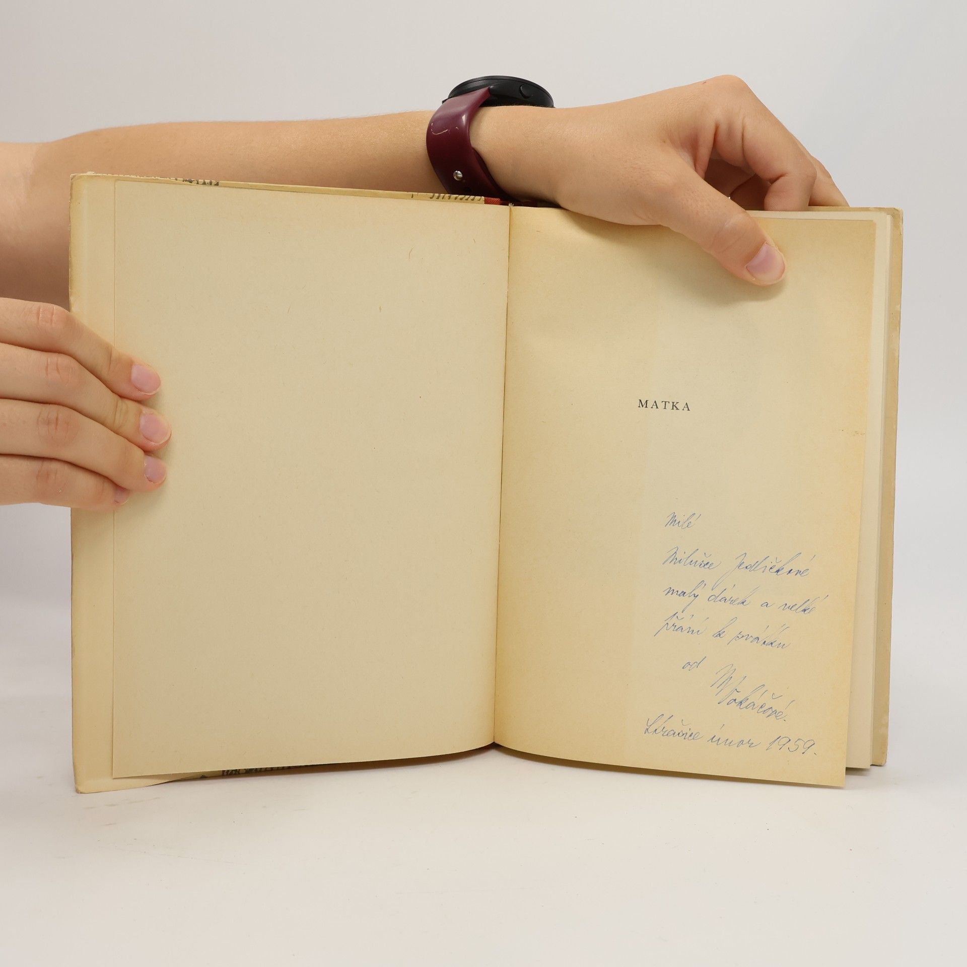 Karel Čapek Matka