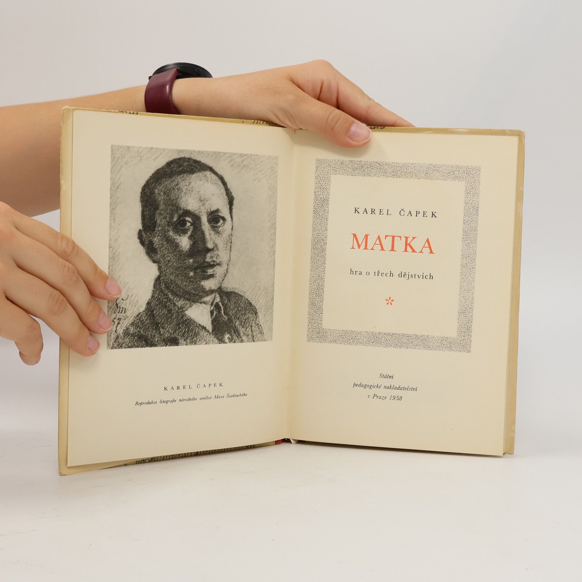 Karel Čapek Matka