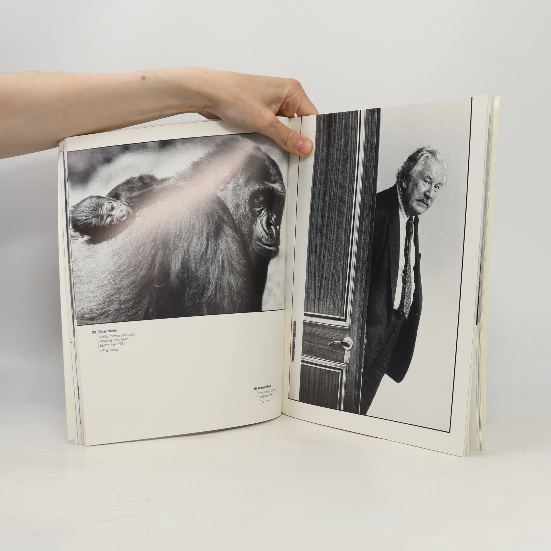 Michael Young Assignments 2