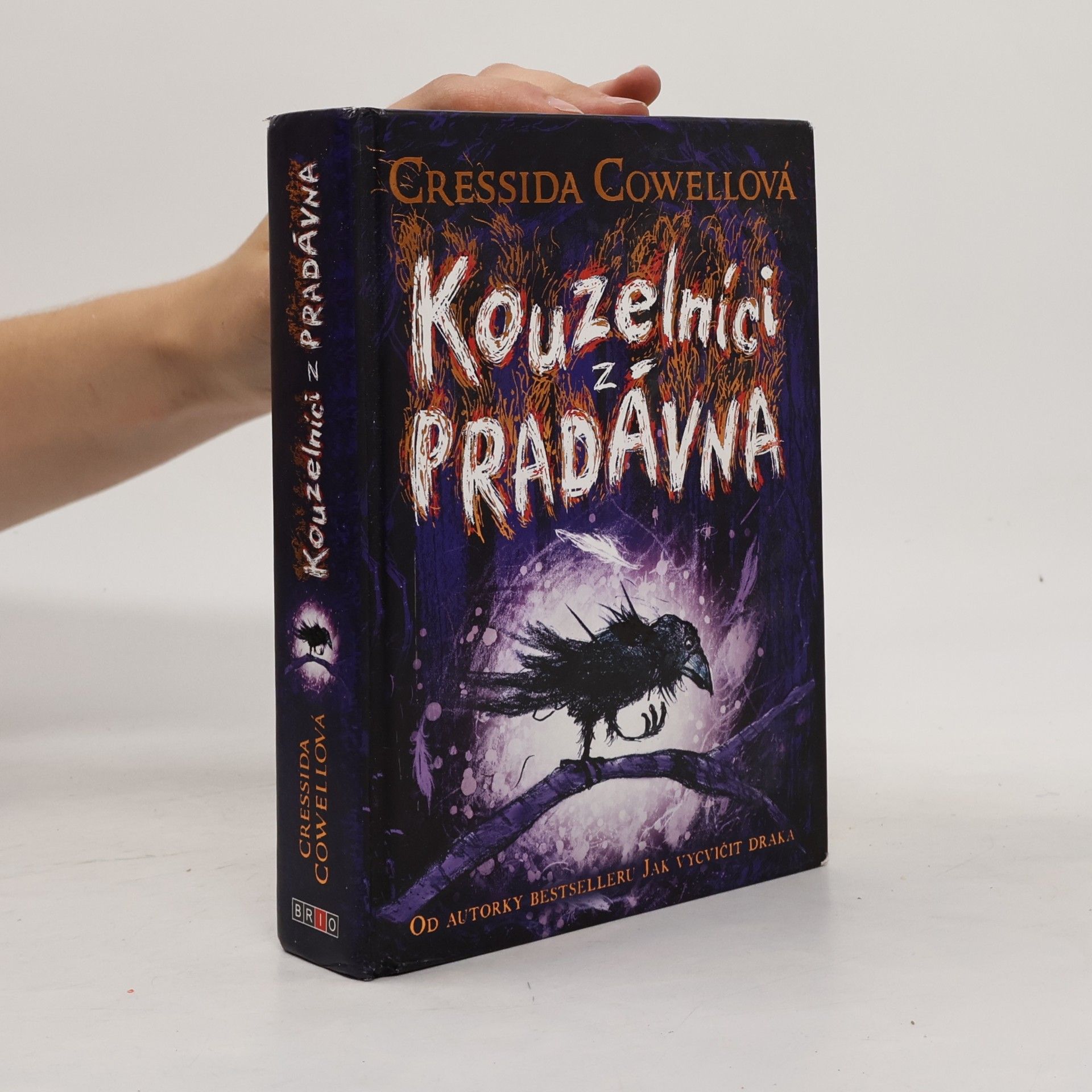 Cressida Cowell Kouzelníci z pradávna