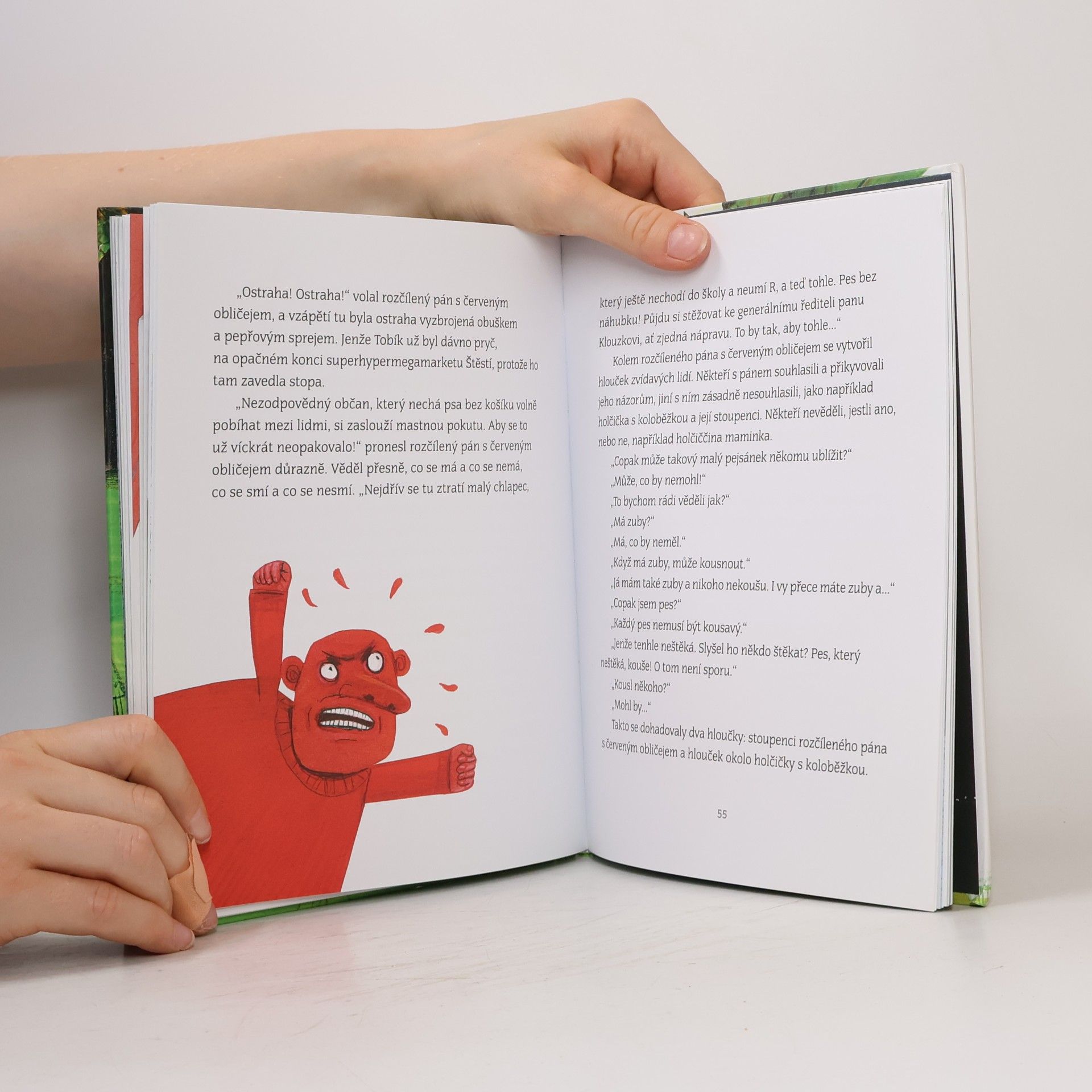 Ivan Binar Kam se poděl Jeníček?