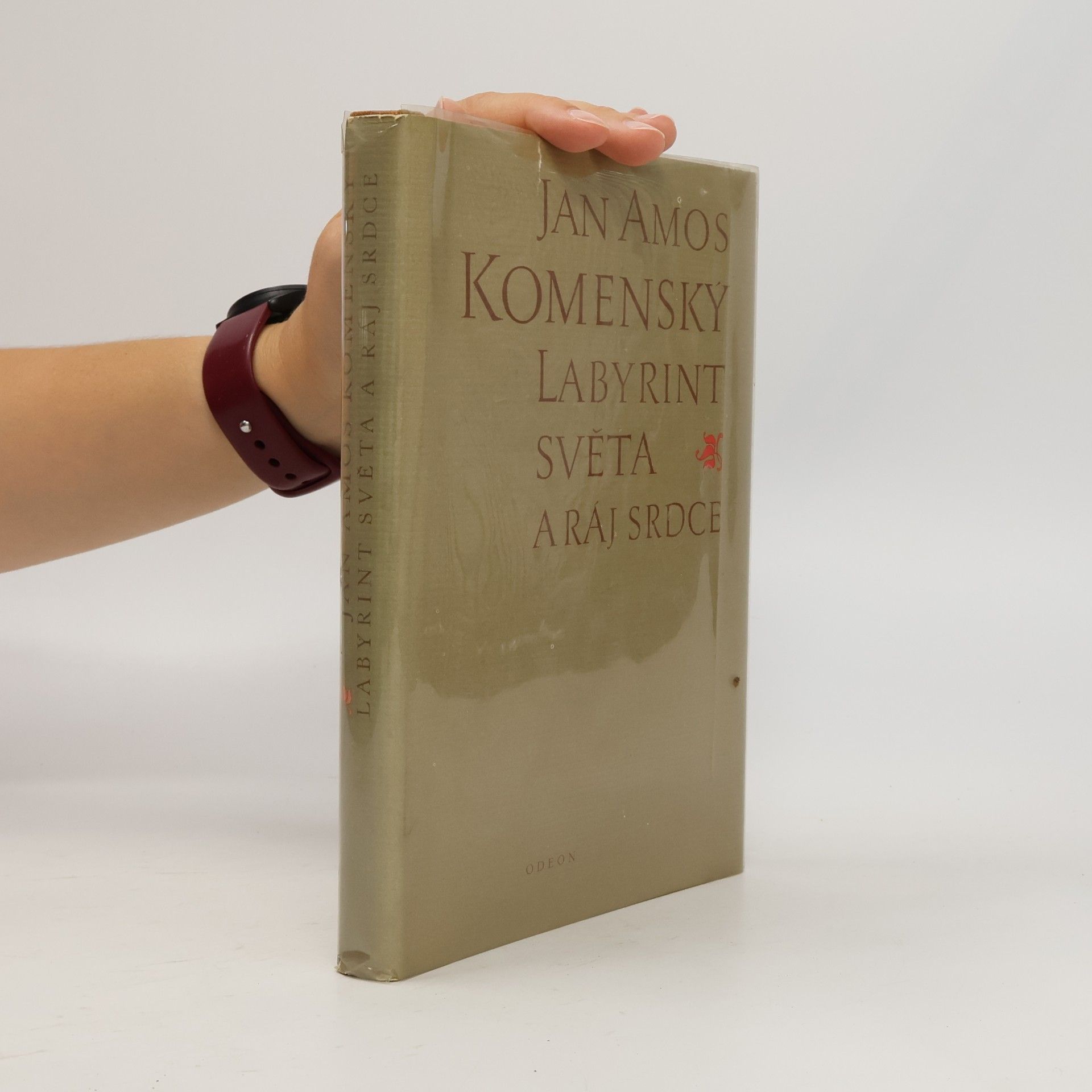 Jan Amos Komenský Labyrint světa a ráj srdce