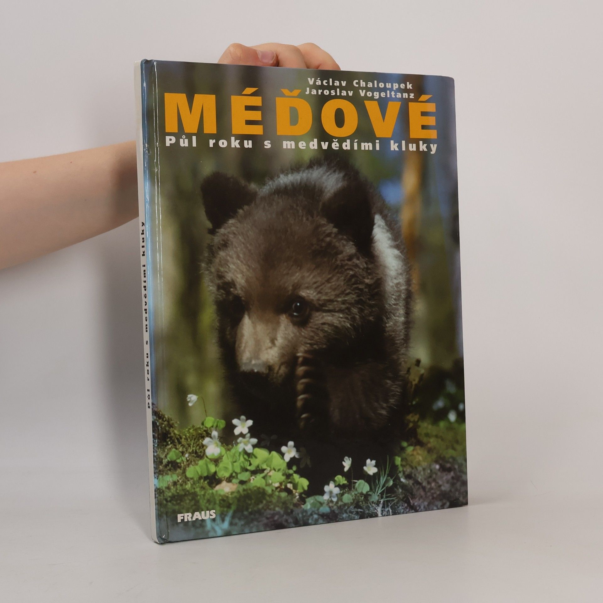 Václav Chaloupek Méďové. Půl roku s medvědími kluky