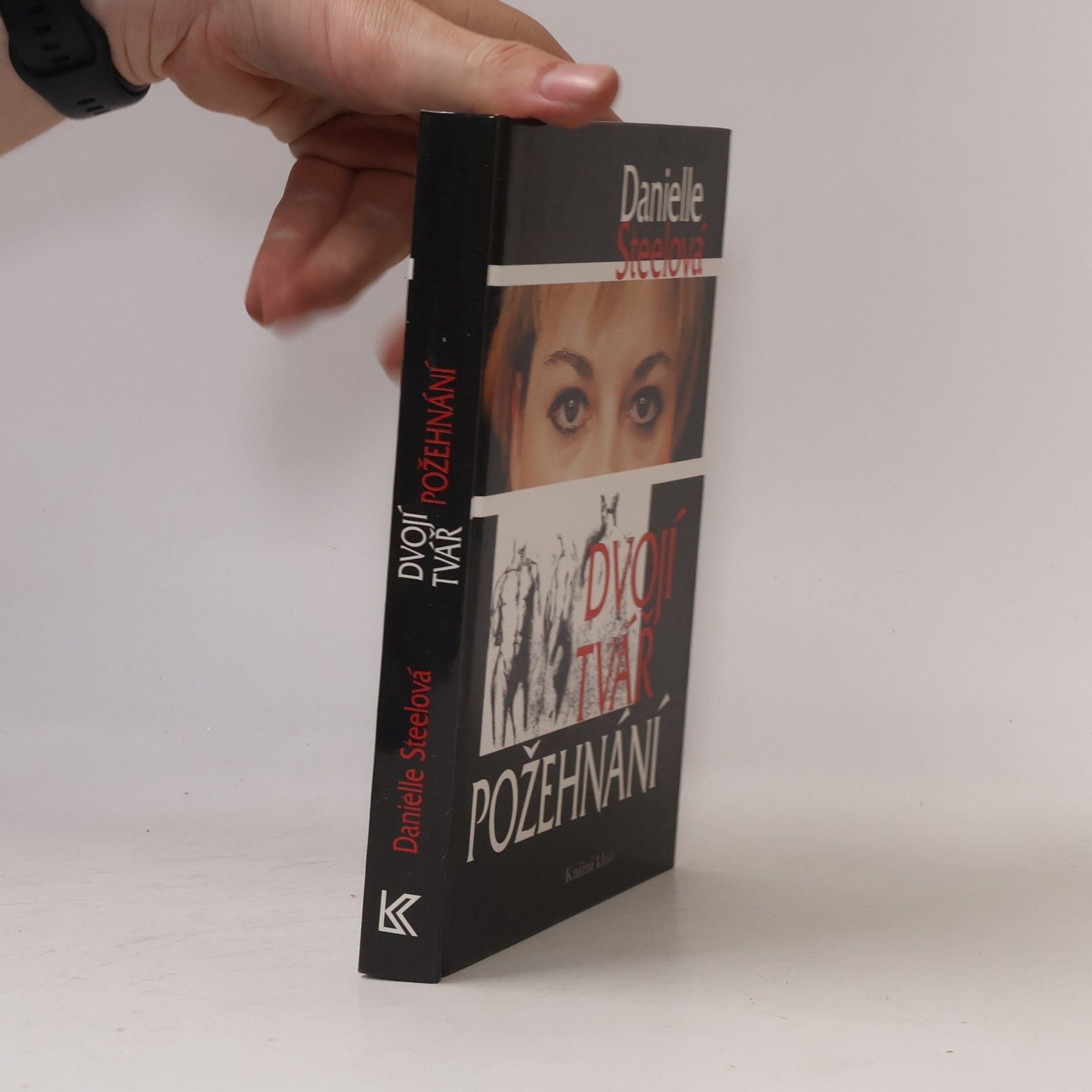 Danielle Steel Dvojí tvář požehnání