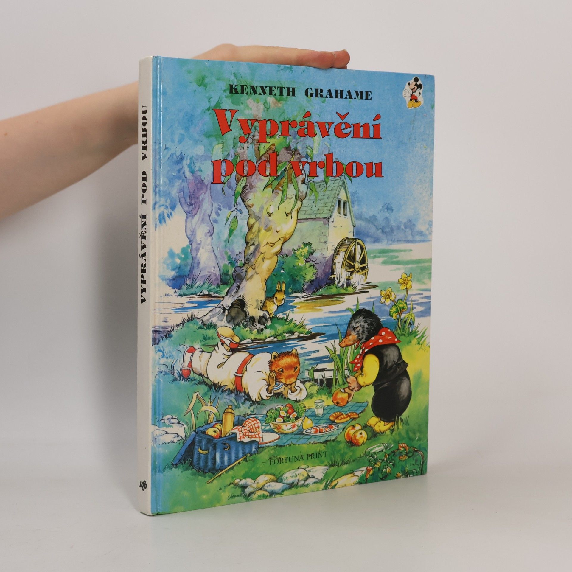 Daniela Řezníčková Vyprávění pod vrbou
