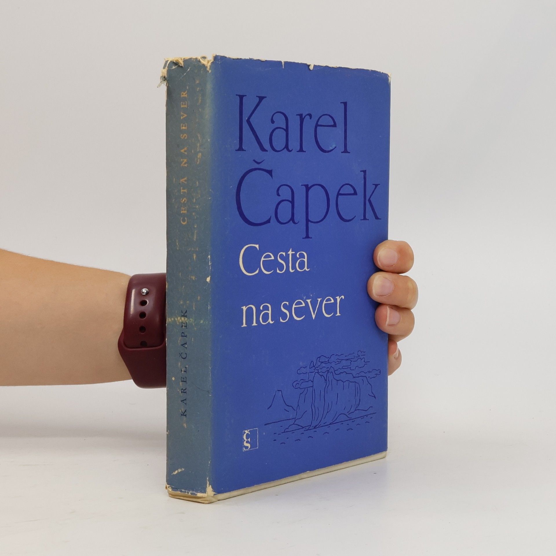 Karel Čapek Cesta na sever