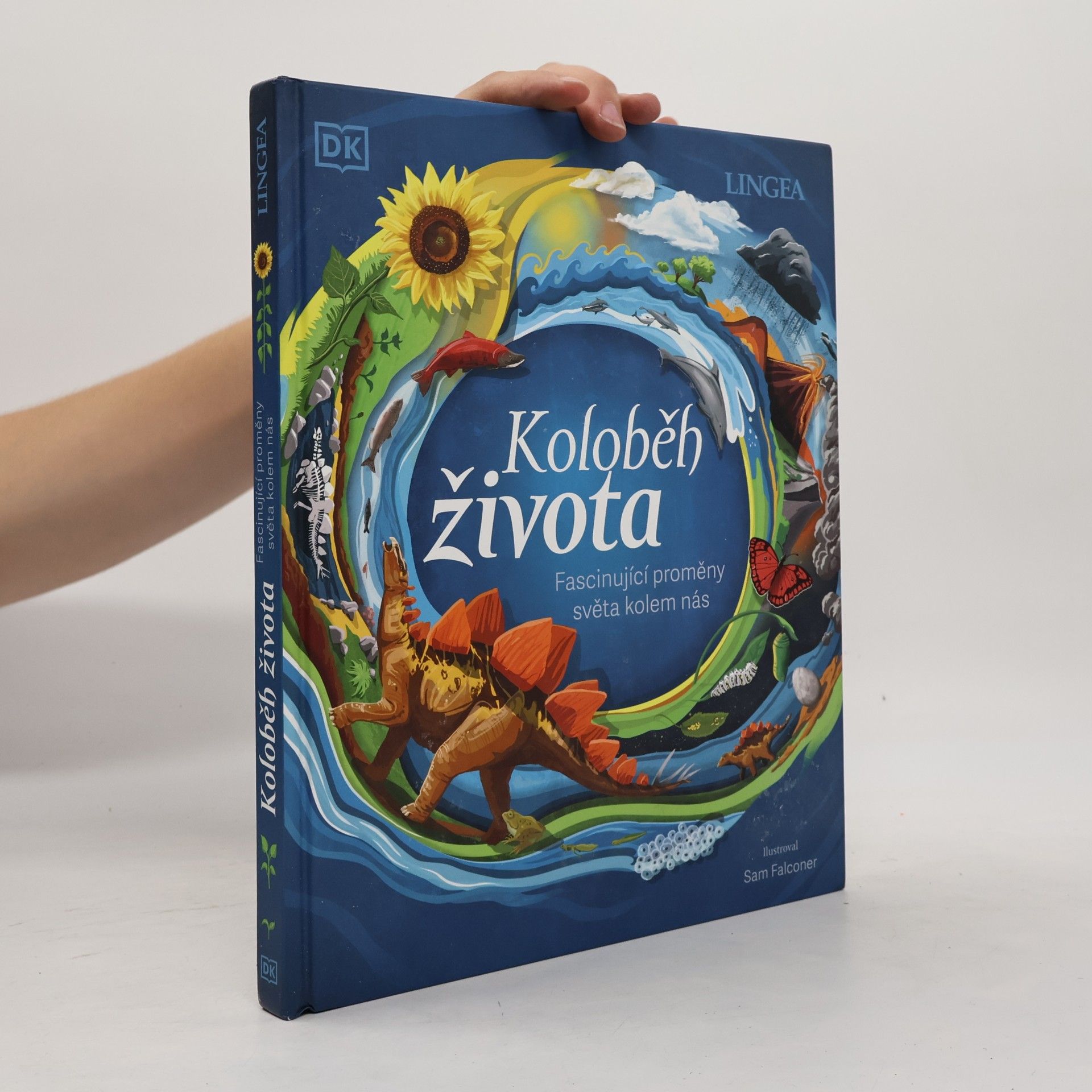 Autorenkollektiv Koloběh života. Fascinující proměny světa kolem nás