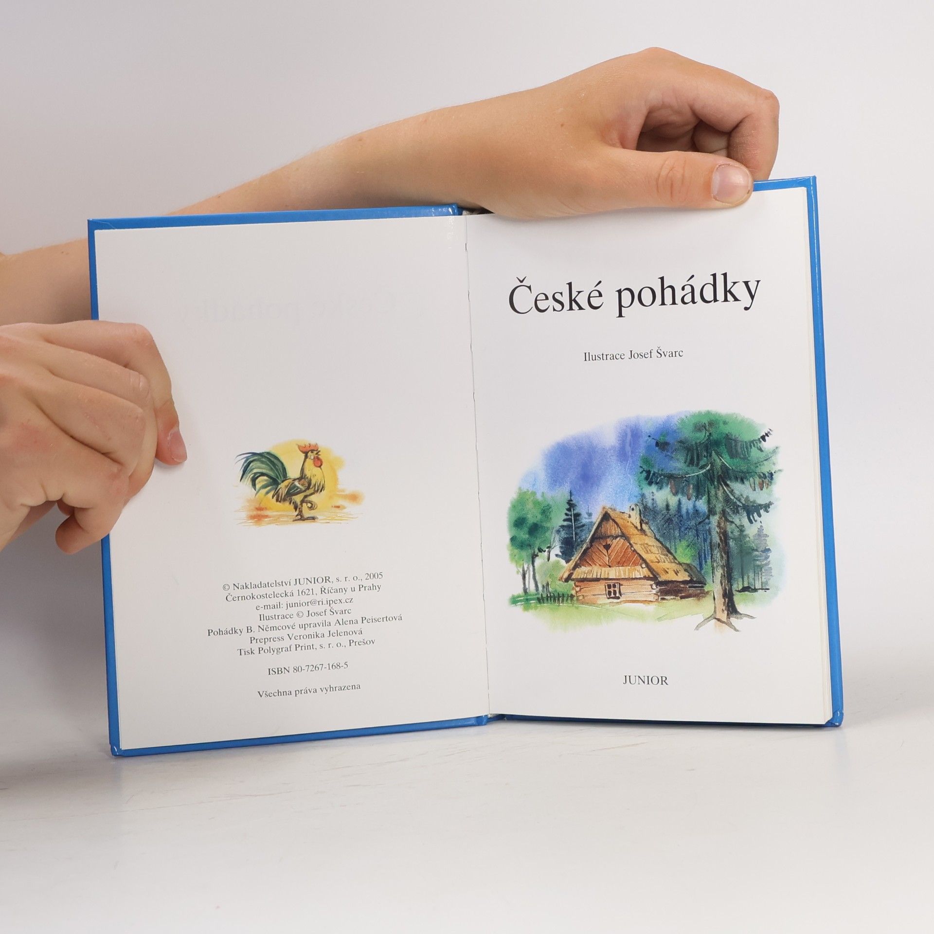 Božena Němcová České pohádky