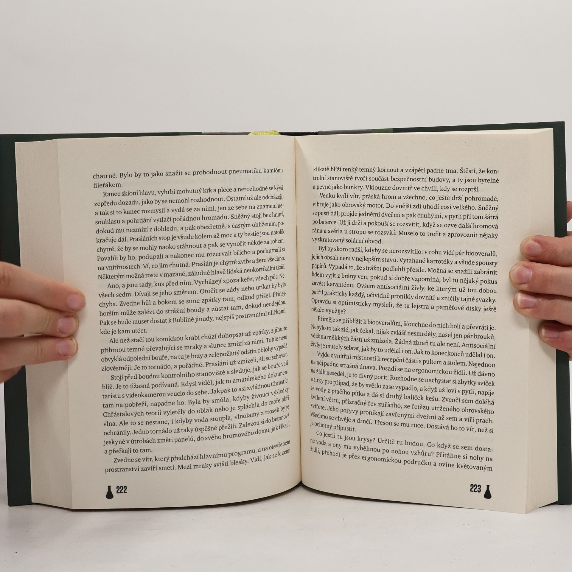 Margaret Atwood Gazela a Chřástal