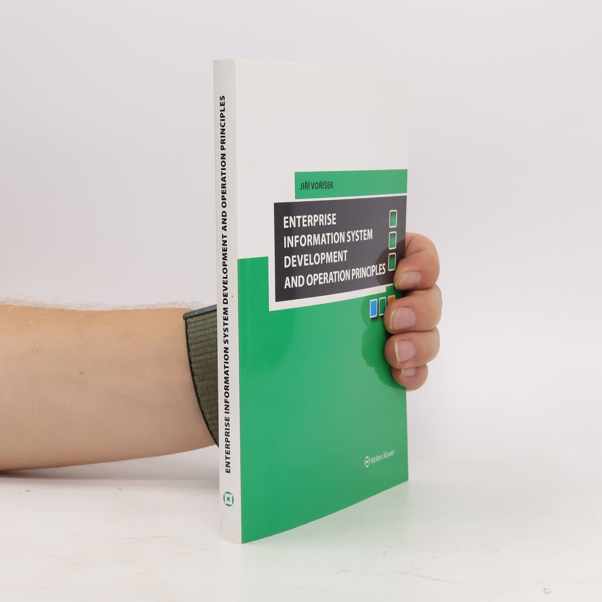 Enterprise Information System Development and Operation Principles