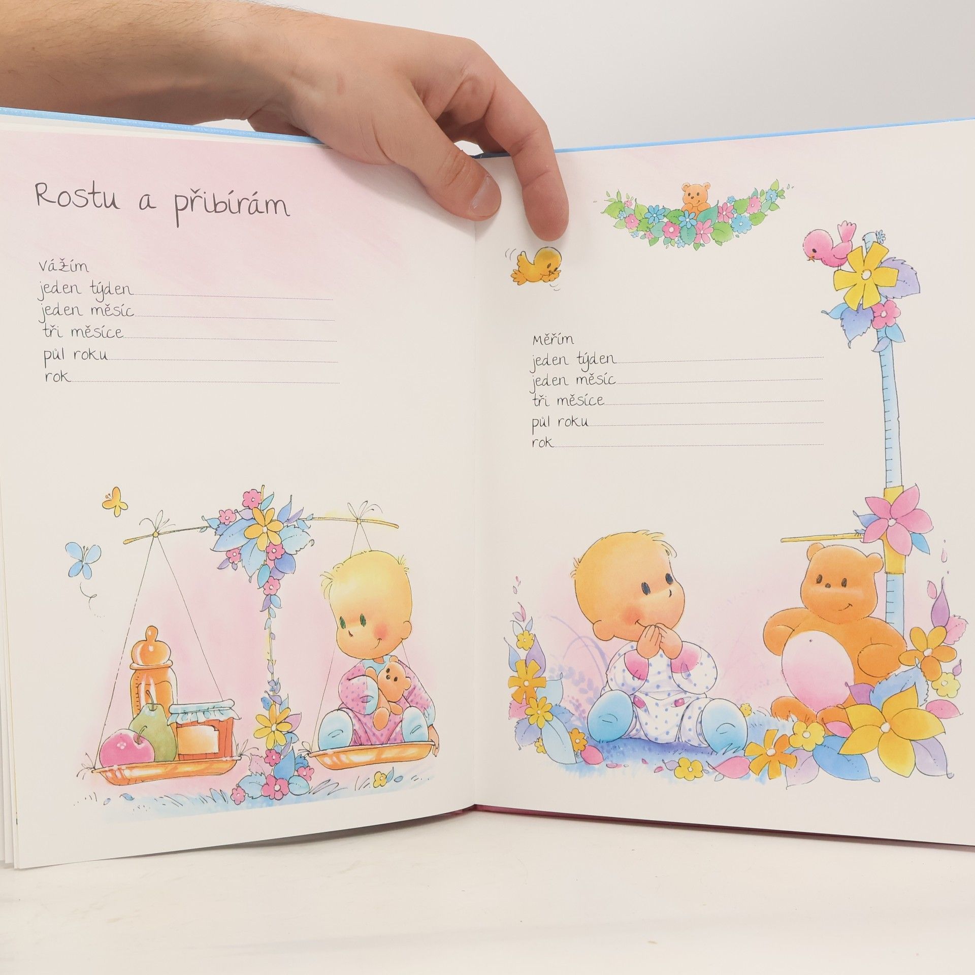 Autorenkollektiv Naše děťátko