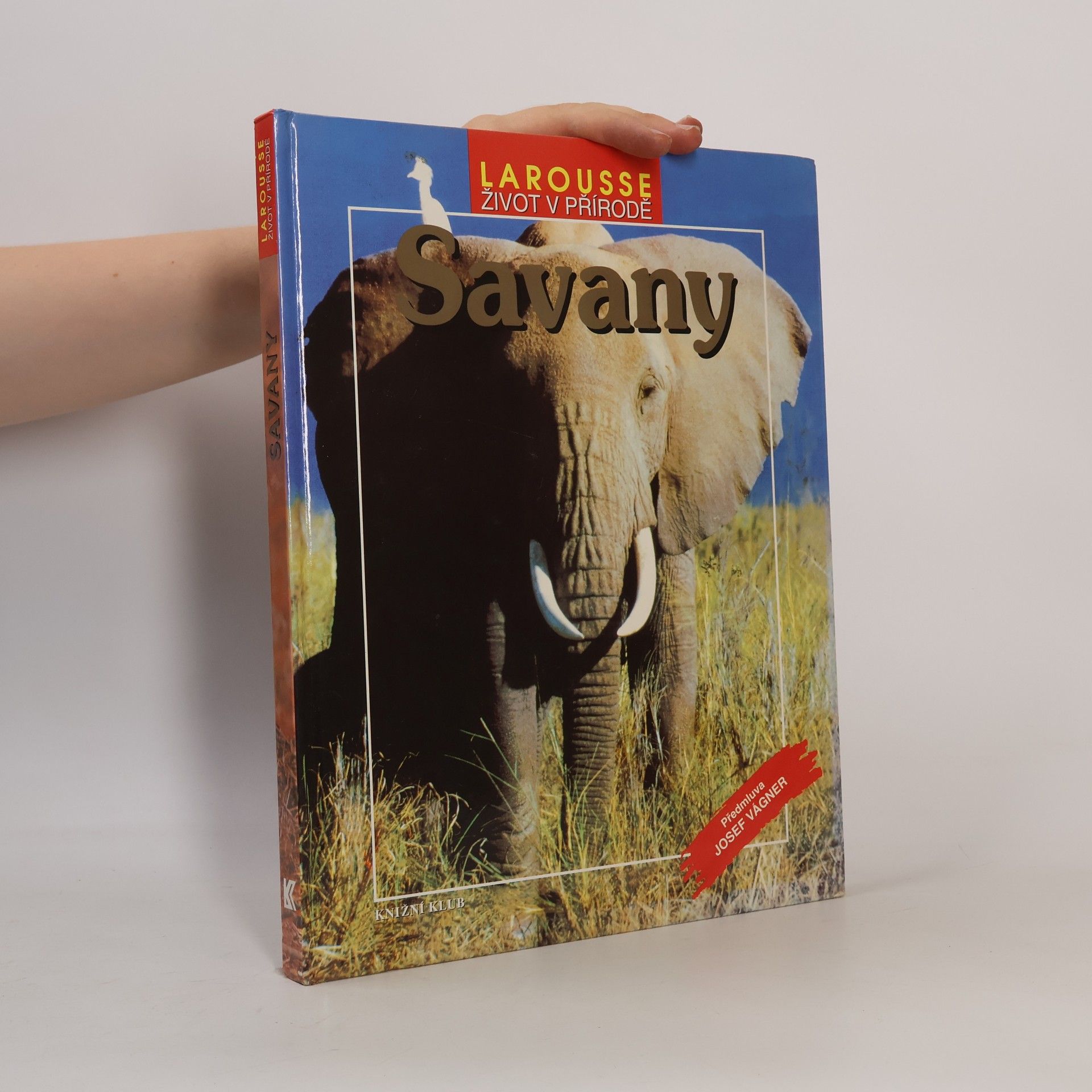 Autorenkollektiv Savany