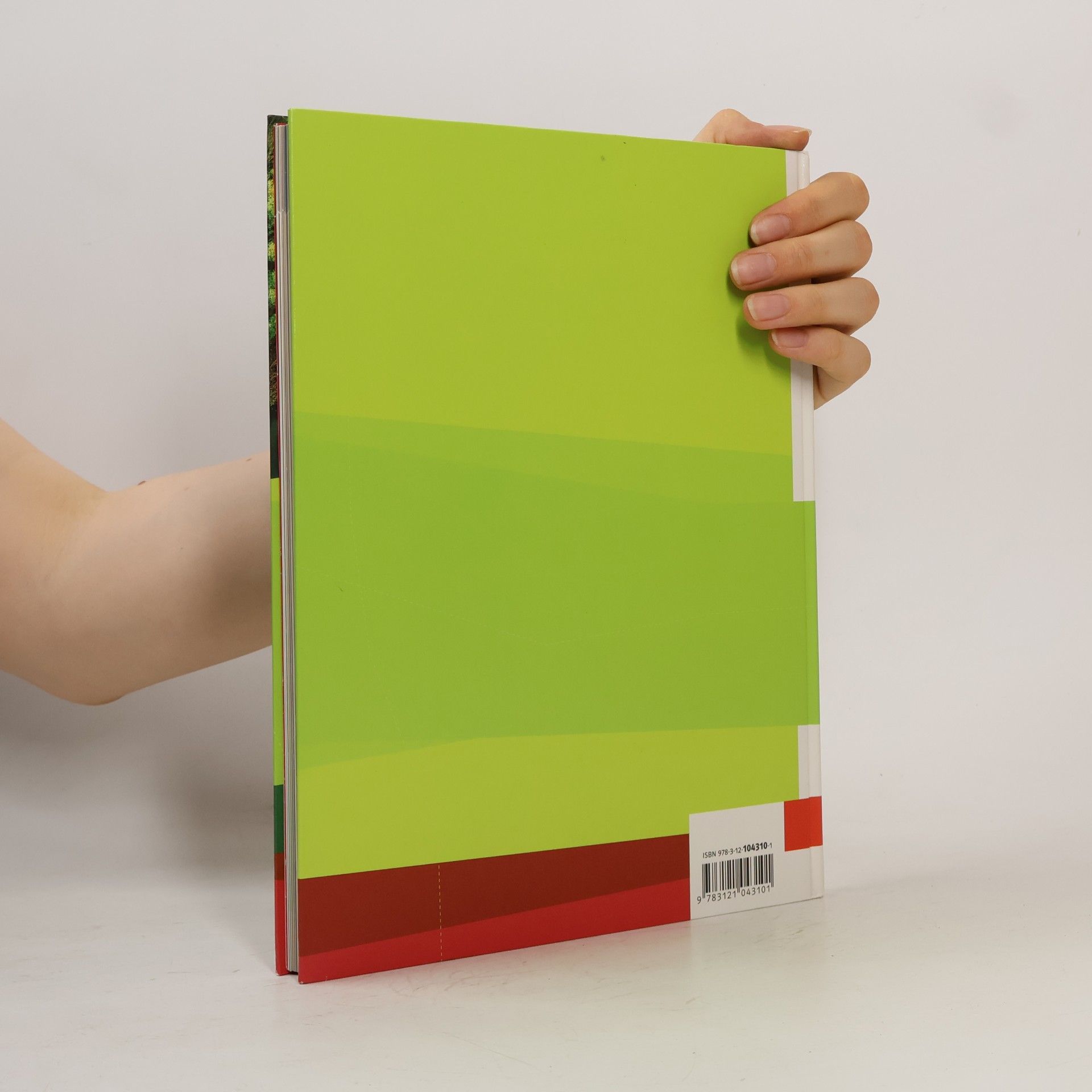 Michael Geiger Terra Erdkunde. differenzierende Ausgabe für Rheinland-Pfalz und Saarland ab 2008 - 1: Terra Erdkunde für Rheinland-Pfalz und Saarland 1. Realschulen und differenzierende Schularten. Schülerbuch 5./6. Schuljahr mit CD-ROM