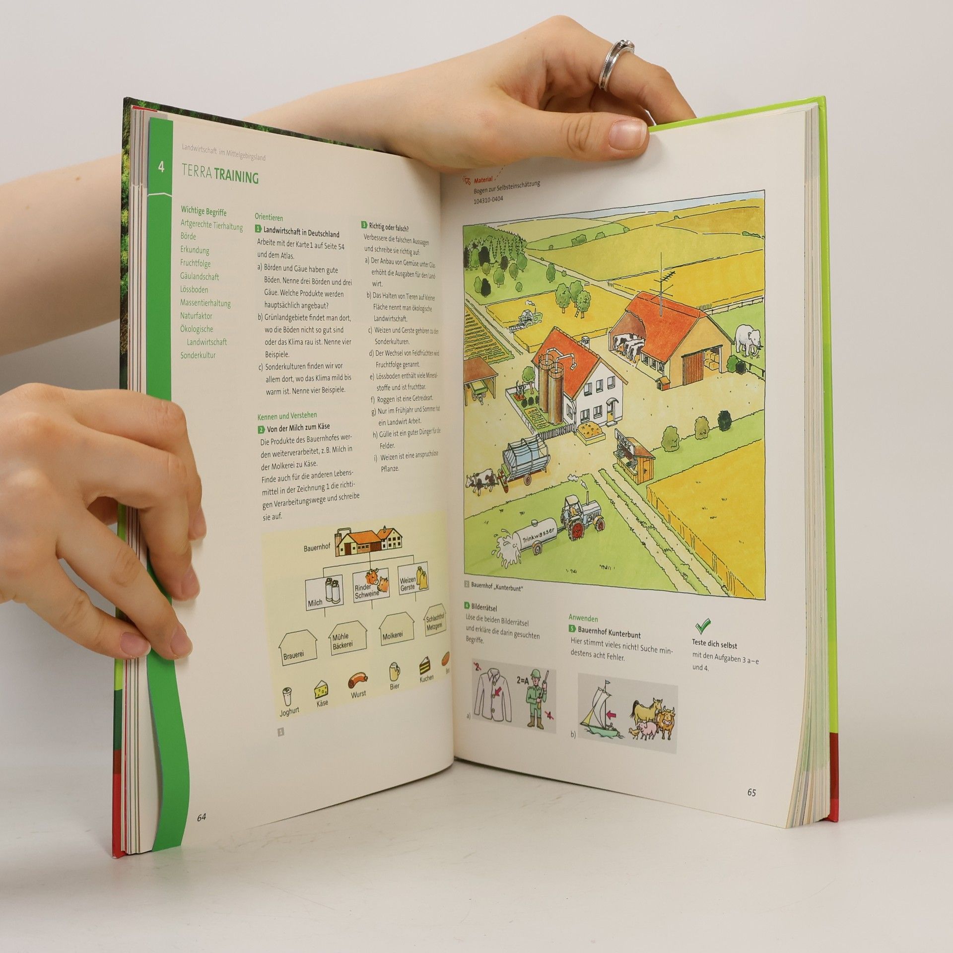 Michael Geiger Terra Erdkunde. differenzierende Ausgabe für Rheinland-Pfalz und Saarland ab 2008 - 1: Terra Erdkunde für Rheinland-Pfalz und Saarland 1. Realschulen und differenzierende Schularten. Schülerbuch 5./6. Schuljahr mit CD-ROM