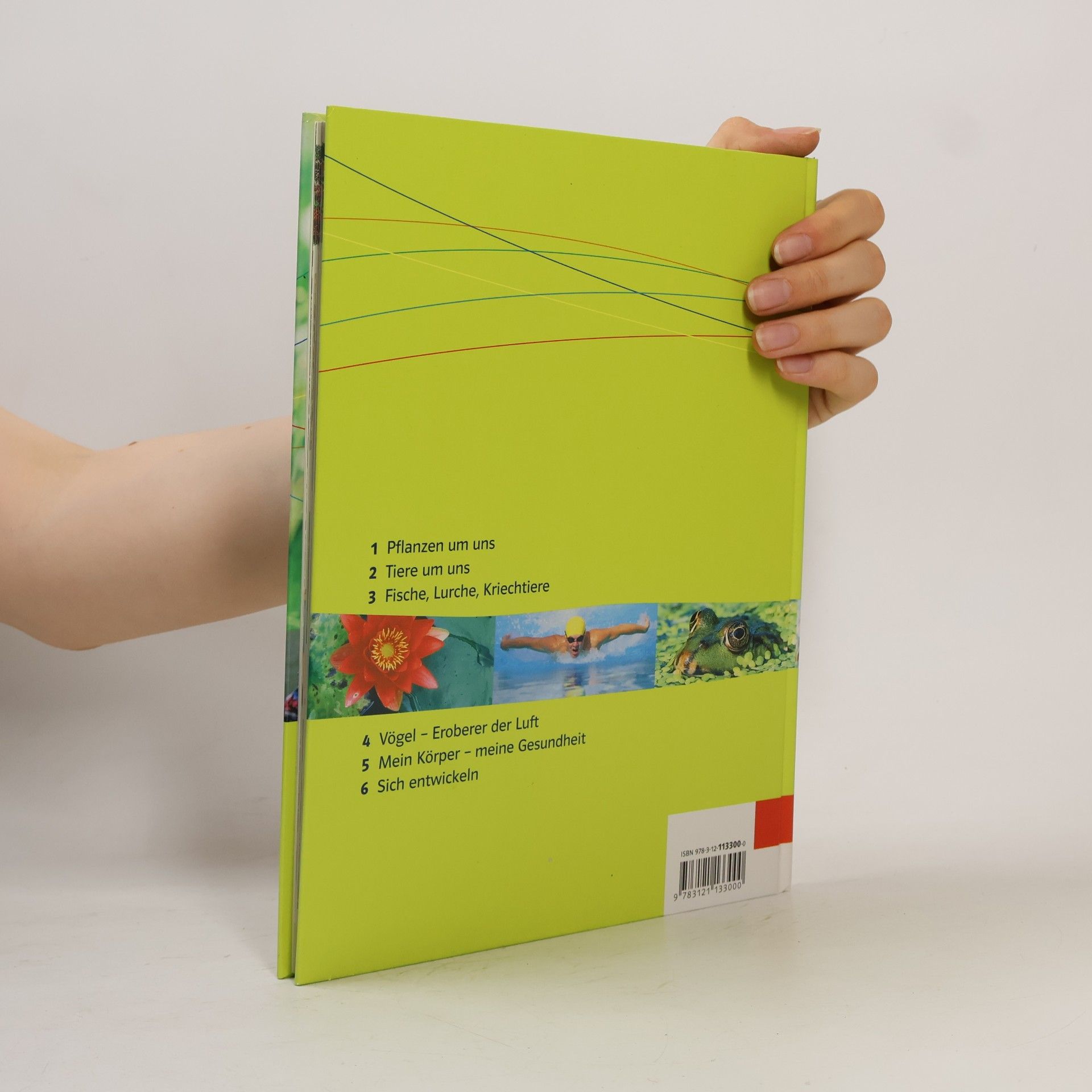Dietmar Kalusche Einblicke Biologie - Ausgabe für Rheinland-Pfalz / Schülerbuch 5./6. Schuljahr