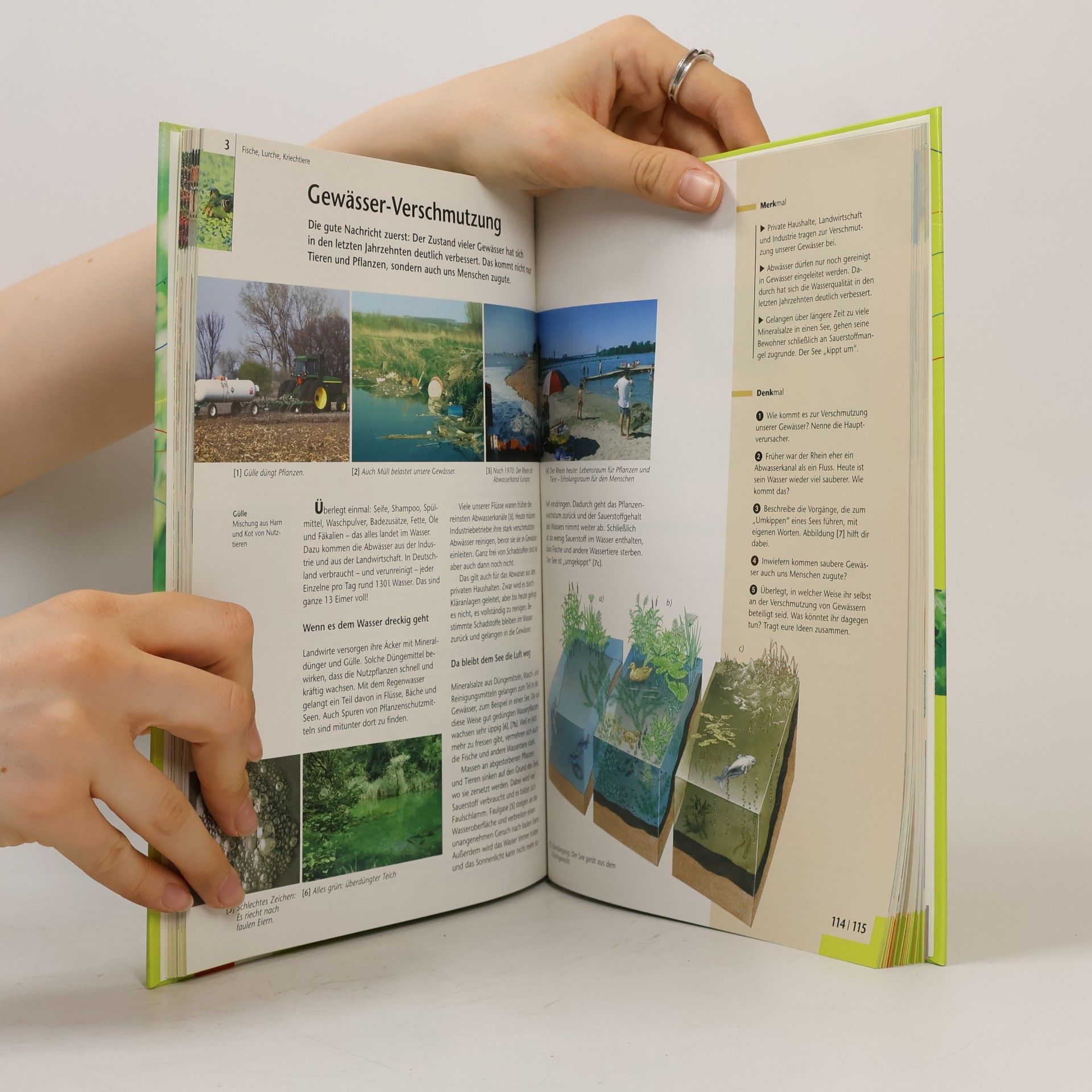 Dietmar Kalusche Einblicke Biologie - Ausgabe für Rheinland-Pfalz / Schülerbuch 5./6. Schuljahr