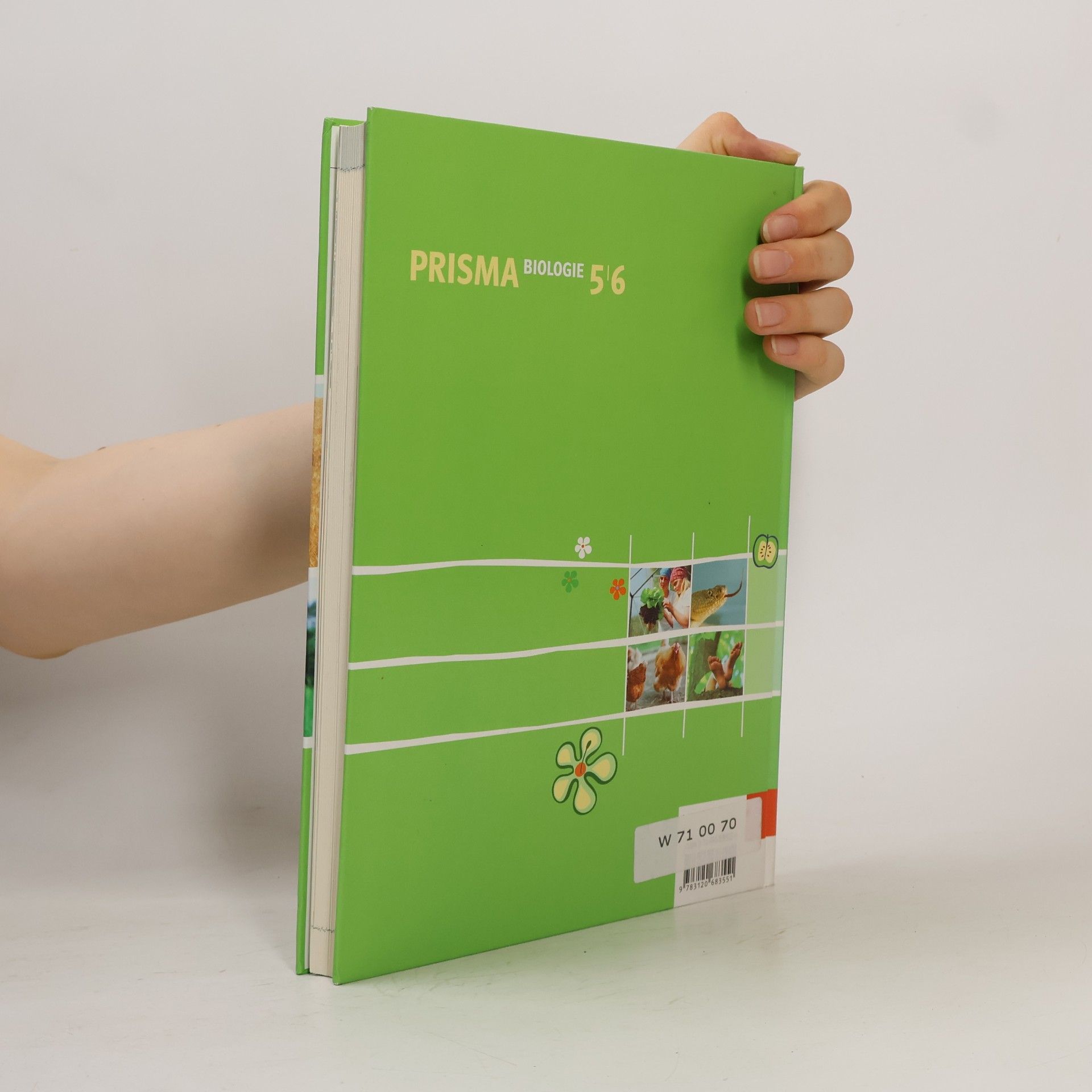 Markus Fifka Prisma Biologie. Ausgabe ab 2005: Prisma A. Biologie 5/6: Schülerbuch Klasse 5/6