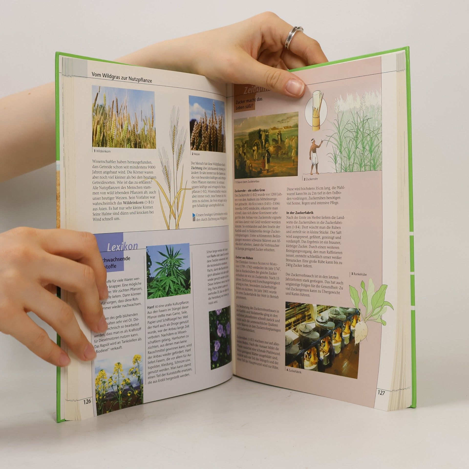 Markus Fifka Prisma Biologie. Ausgabe ab 2005: Prisma A. Biologie 5/6: Schülerbuch Klasse 5/6