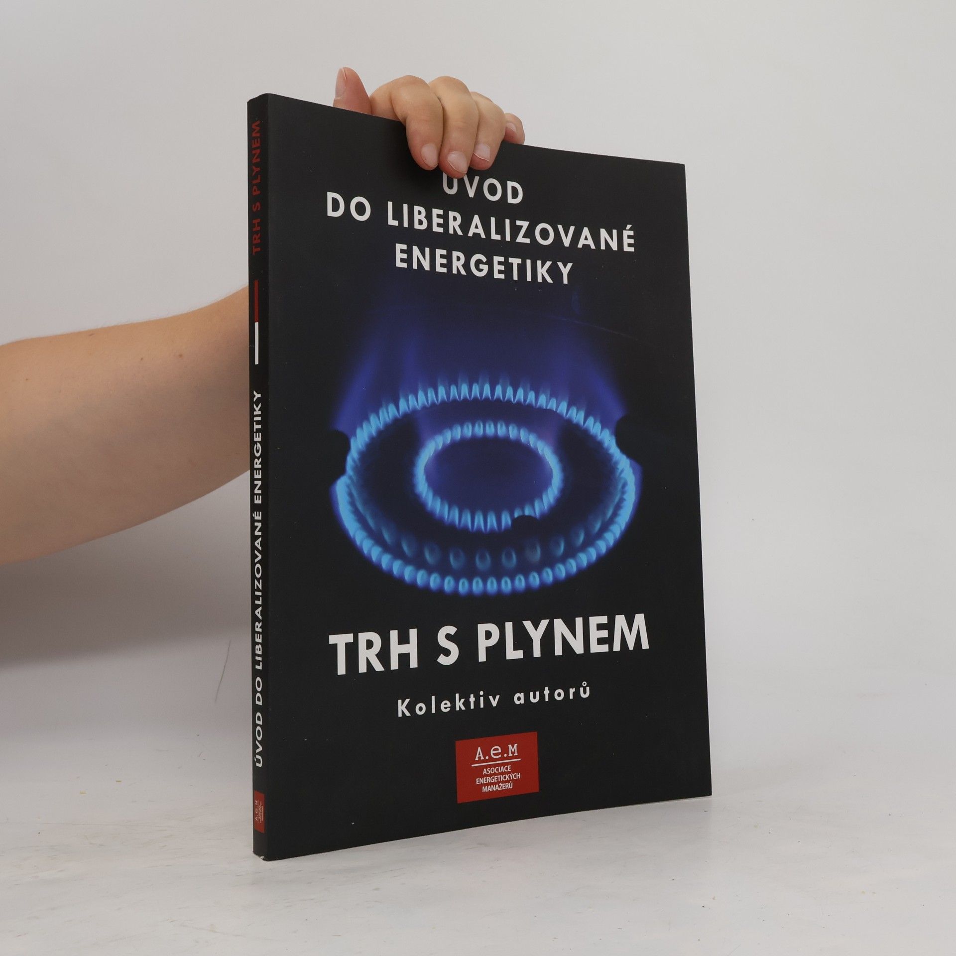 Trh s plynem: úvod do liberalizované energetiky