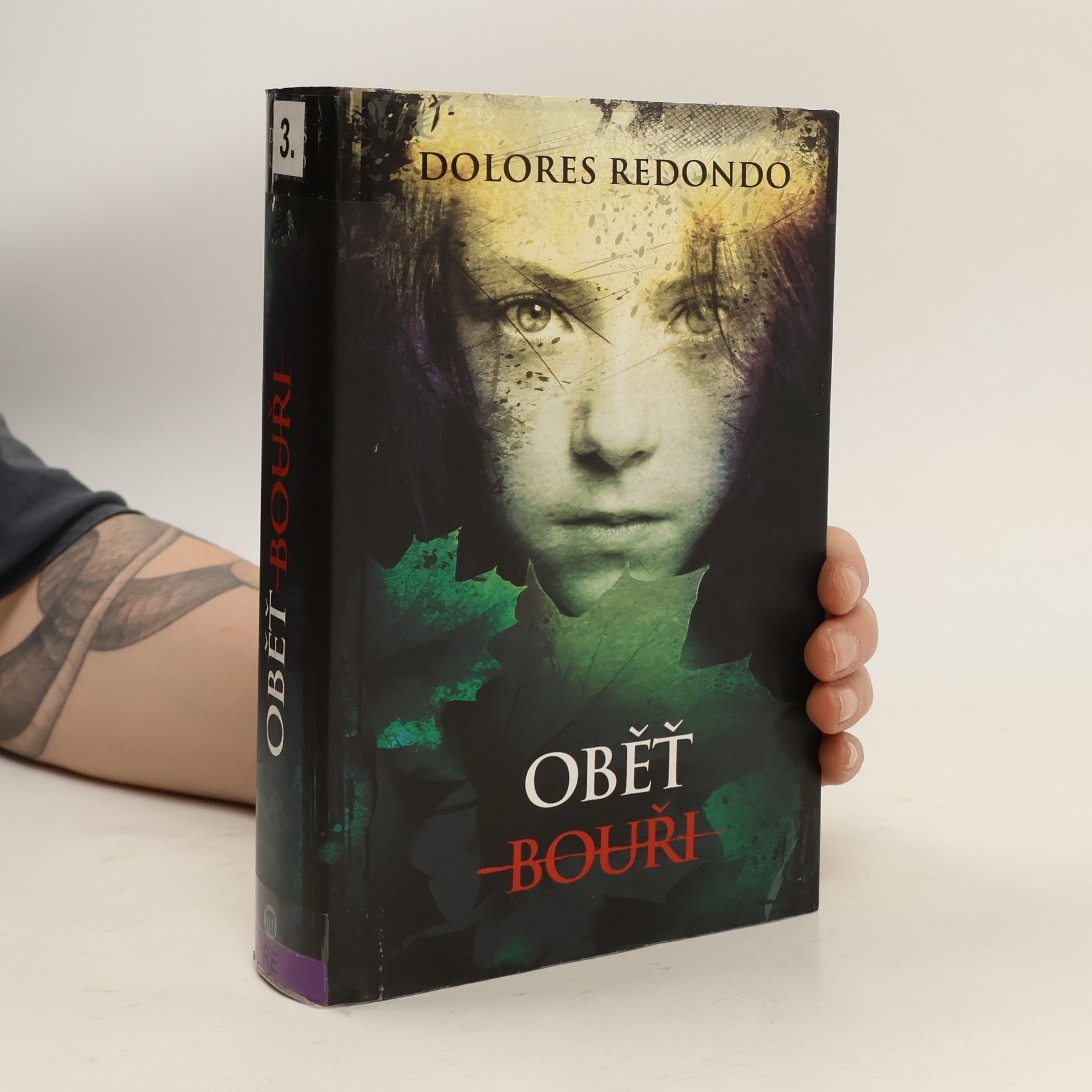 Dolores Redondo Oběť bouři