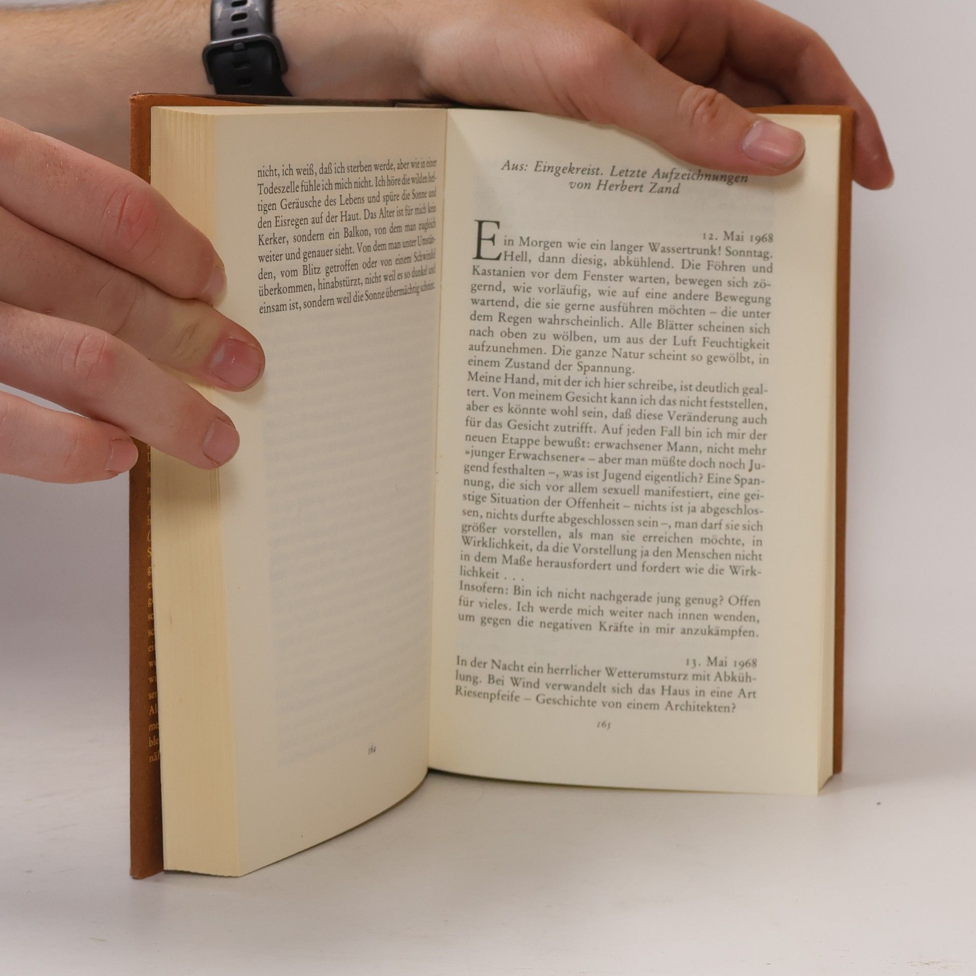 Hans Bender Das Insel-Buch vom Alter