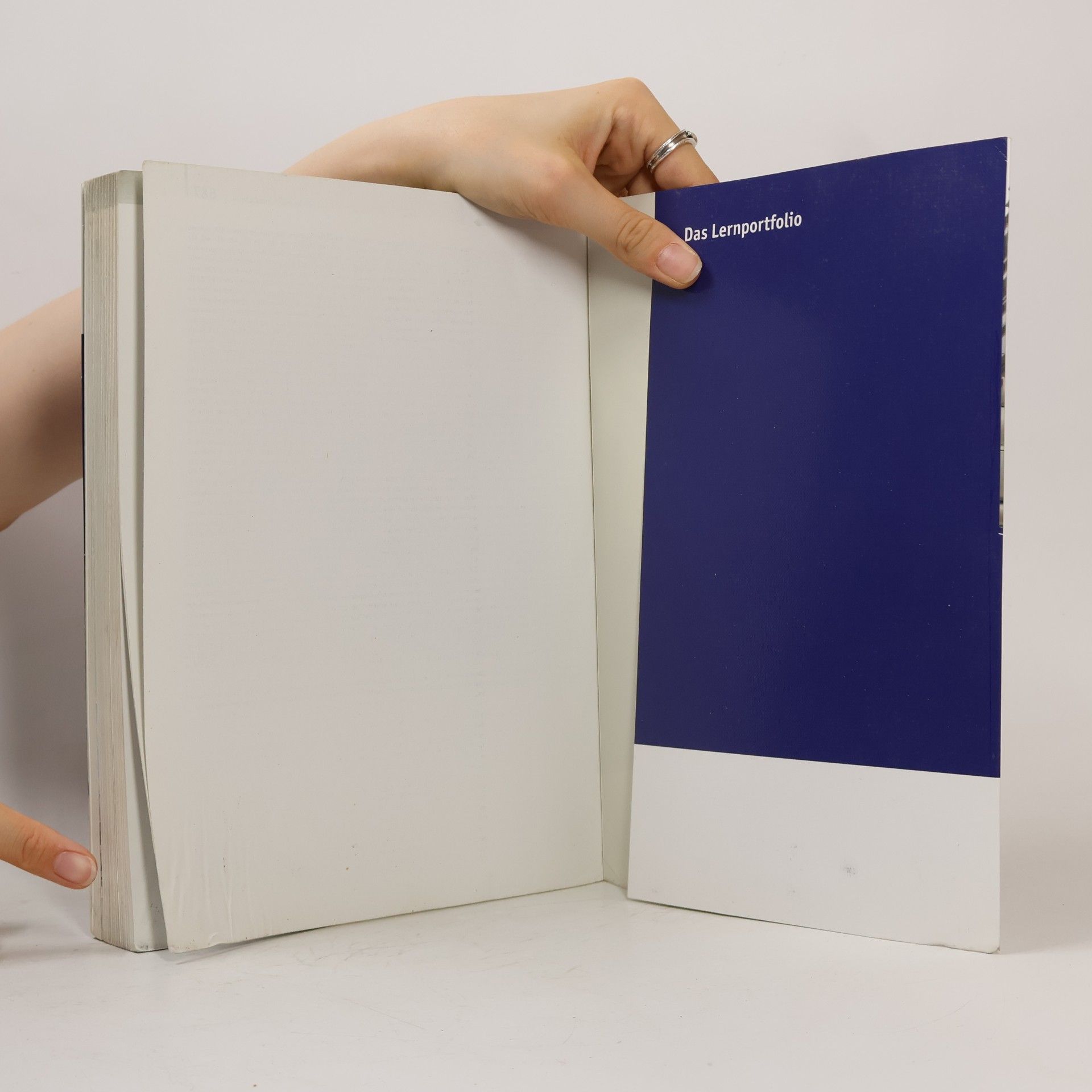 Autorenkollektiv P.A.U.L.D. Oberstufe. Schülerband: Persönliches Arbeits- und Lesebuch