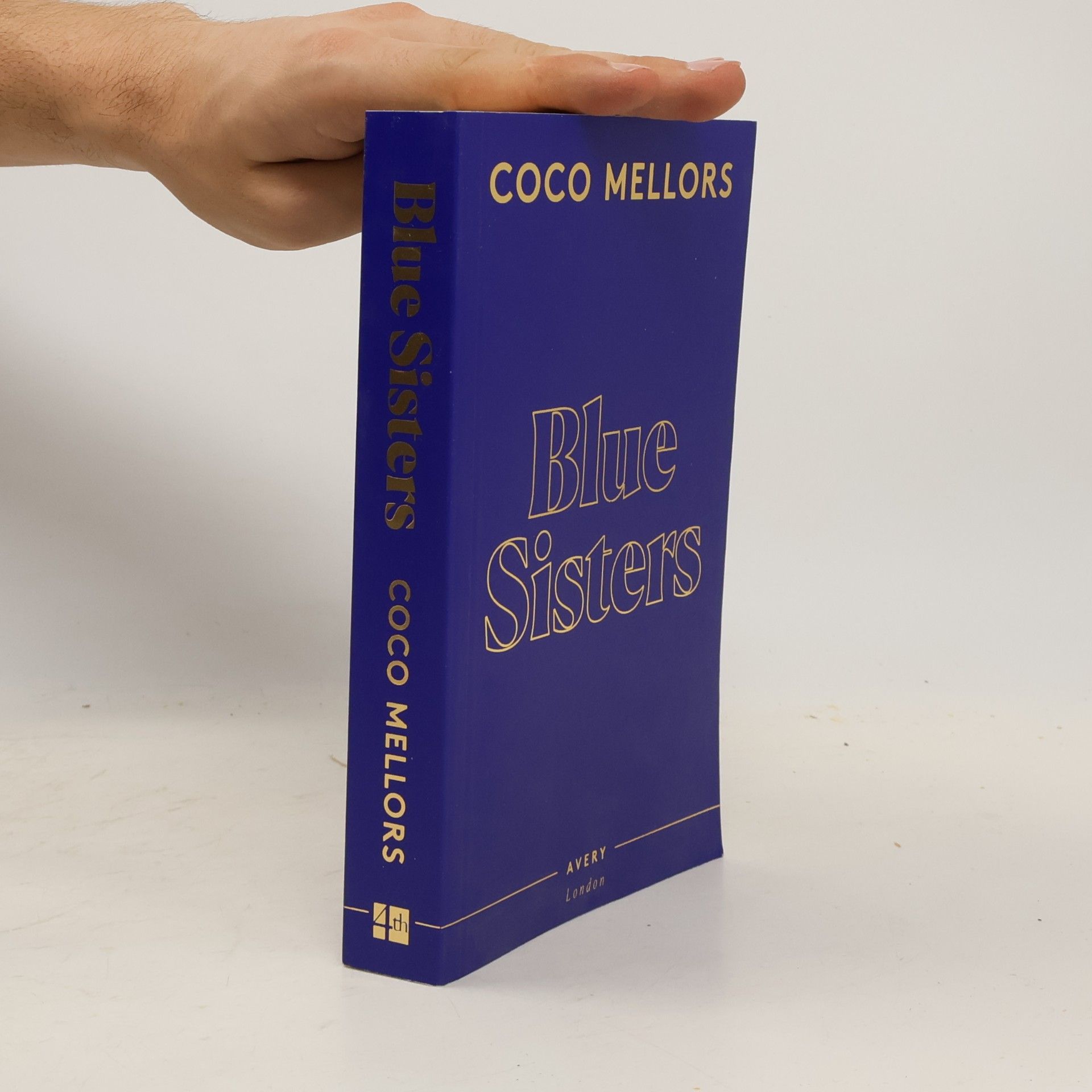 Coco Mellors Blue Sisters
