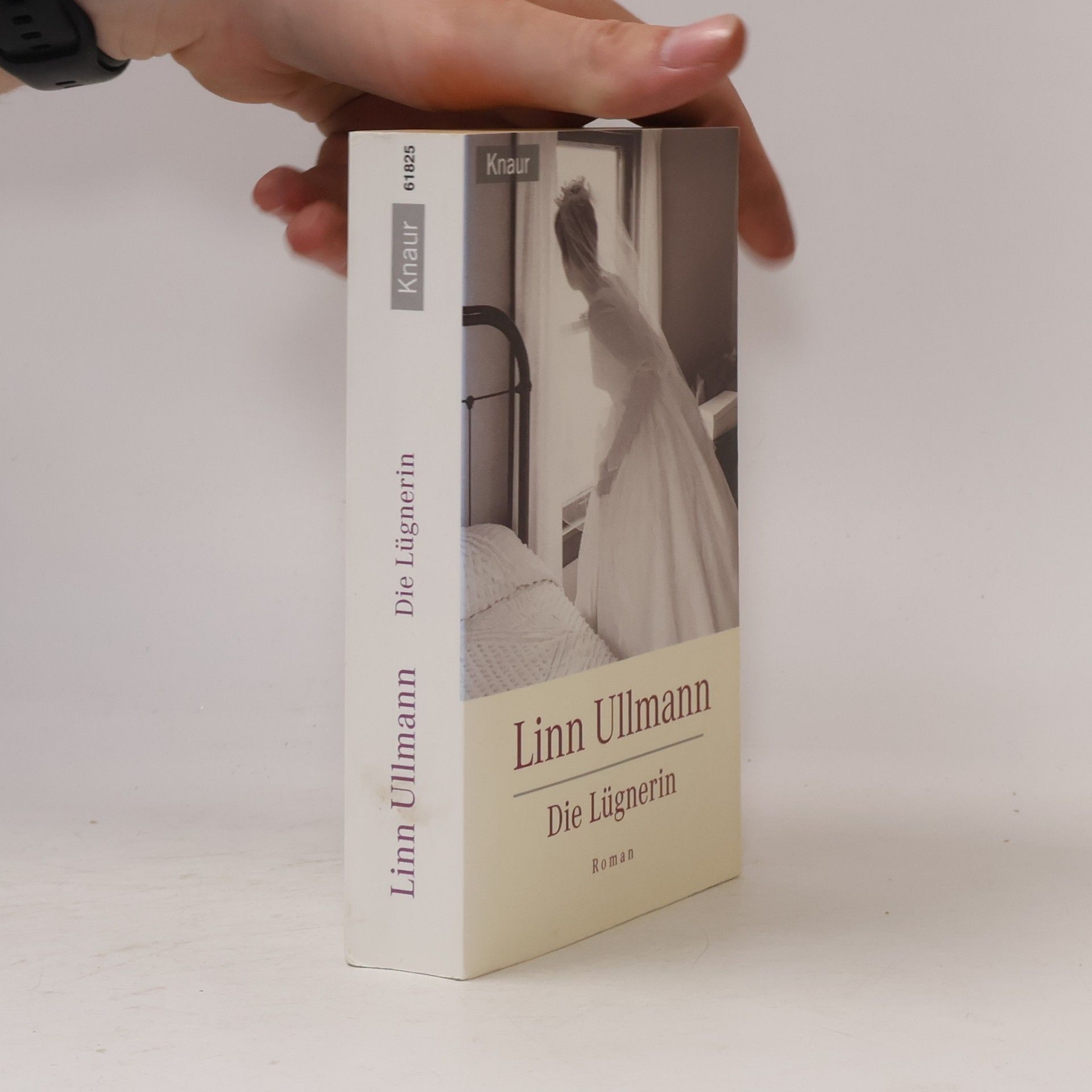 Linn Ullmann Die Lügnerin