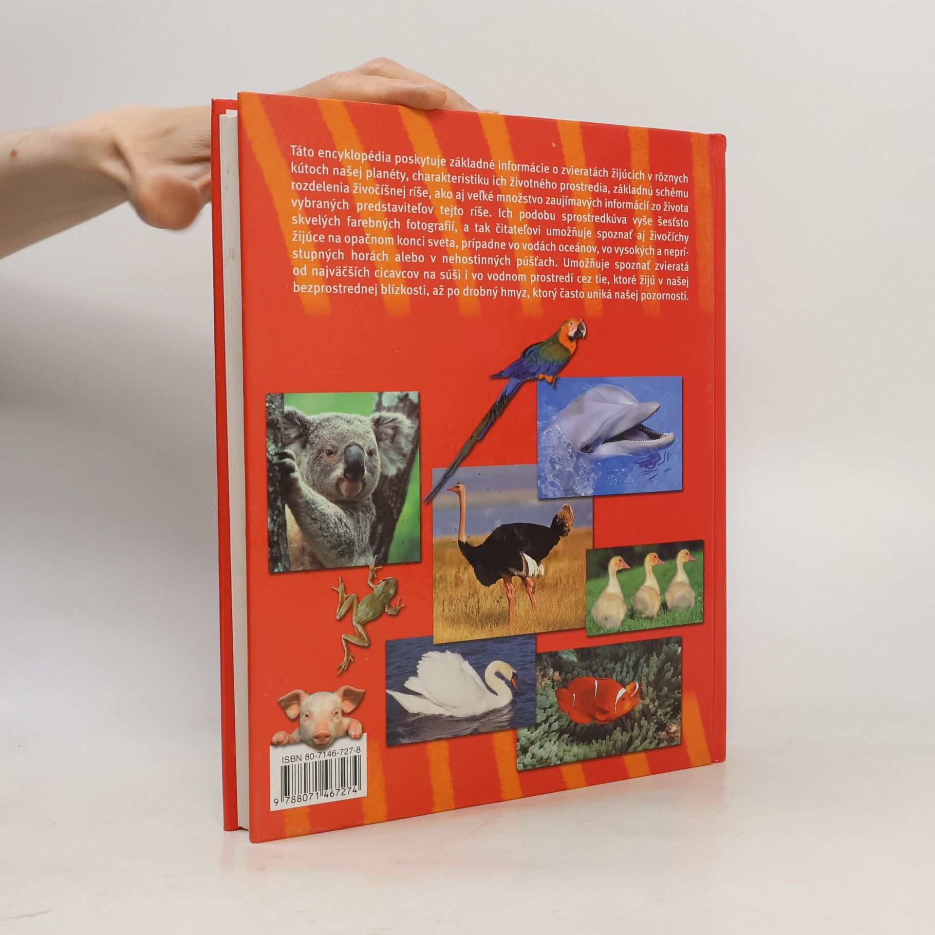 Autores varios Encyklopédia zvierat