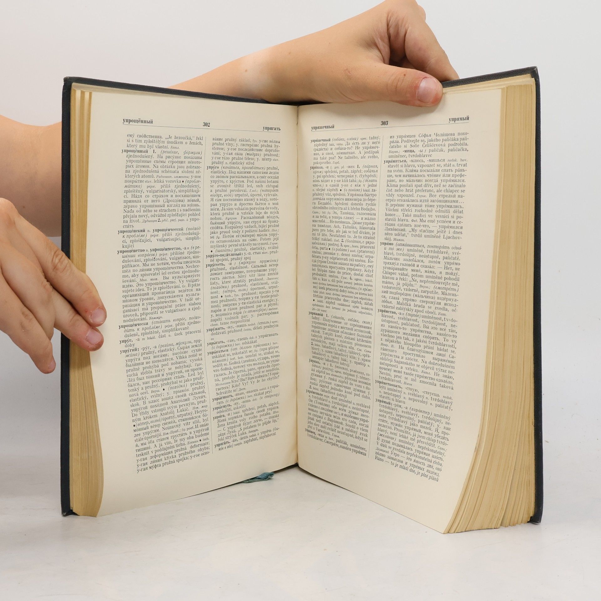 Autores varios Velký rusko-český slovník 5. T - Я